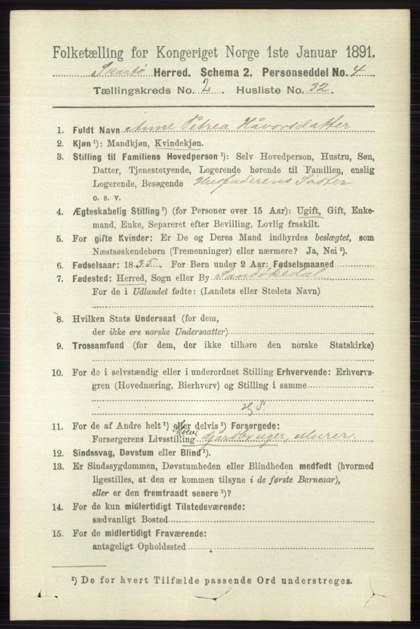 RA, 1891 census for 0815 Skåtøy, 1891, p. 601