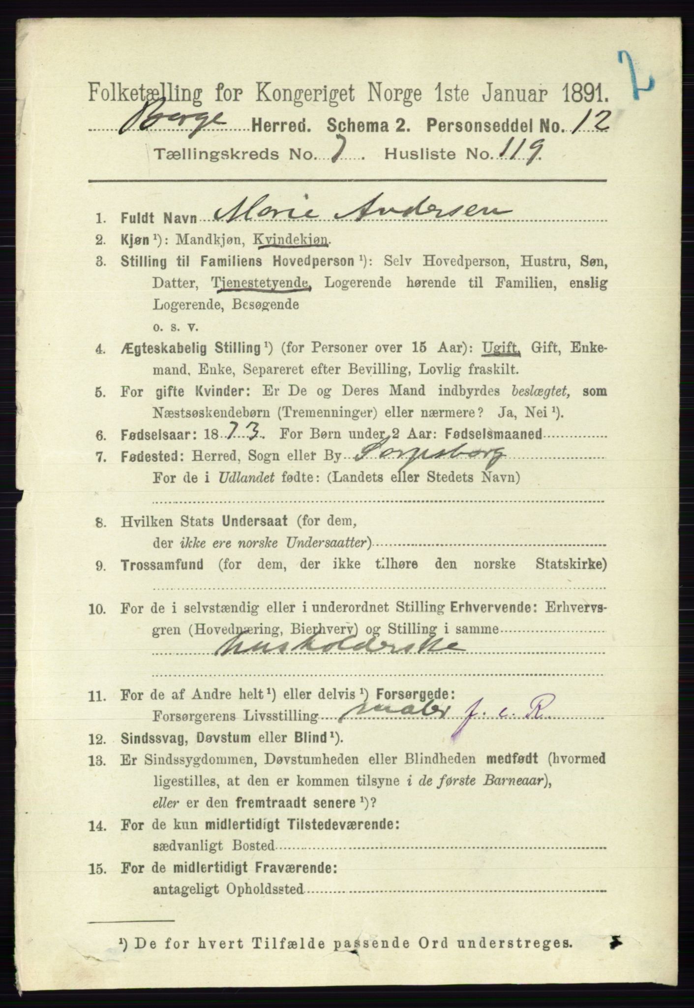 RA, 1891 census for 0113 Borge, 1891, p. 5038