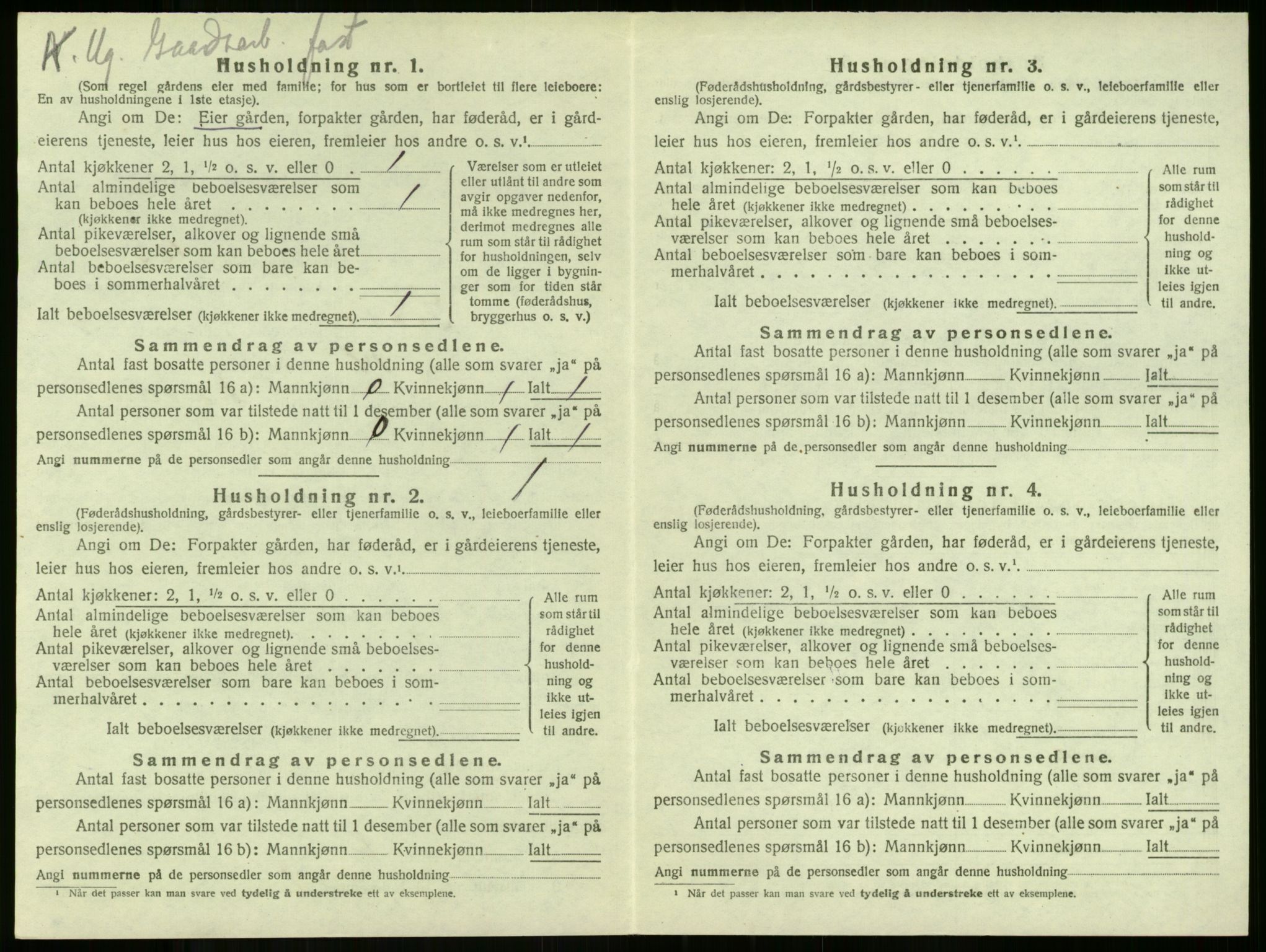 SAKO, 1920 census for Stokke, 1920, p. 260