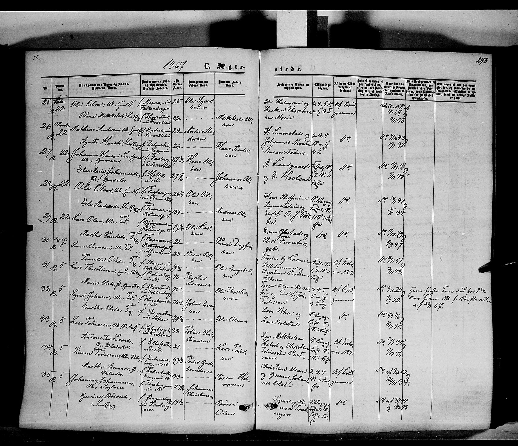 Ringsaker prestekontor, SAH/PREST-014/K/Ka/L0010: Parish register (official) no. 10, 1861-1869, p. 293