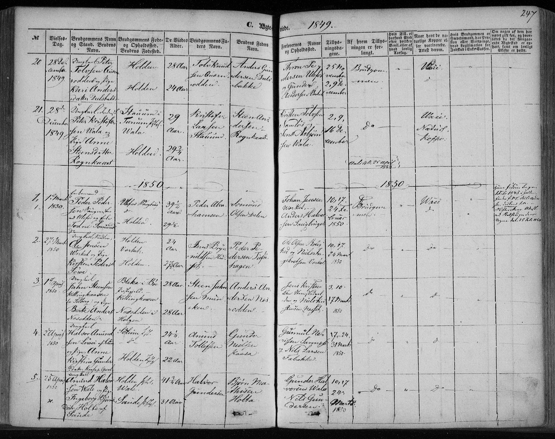 Holla kirkebøker, SAKO/A-272/F/Fa/L0005: Parish register (official) no. 5, 1849-1860, p. 247