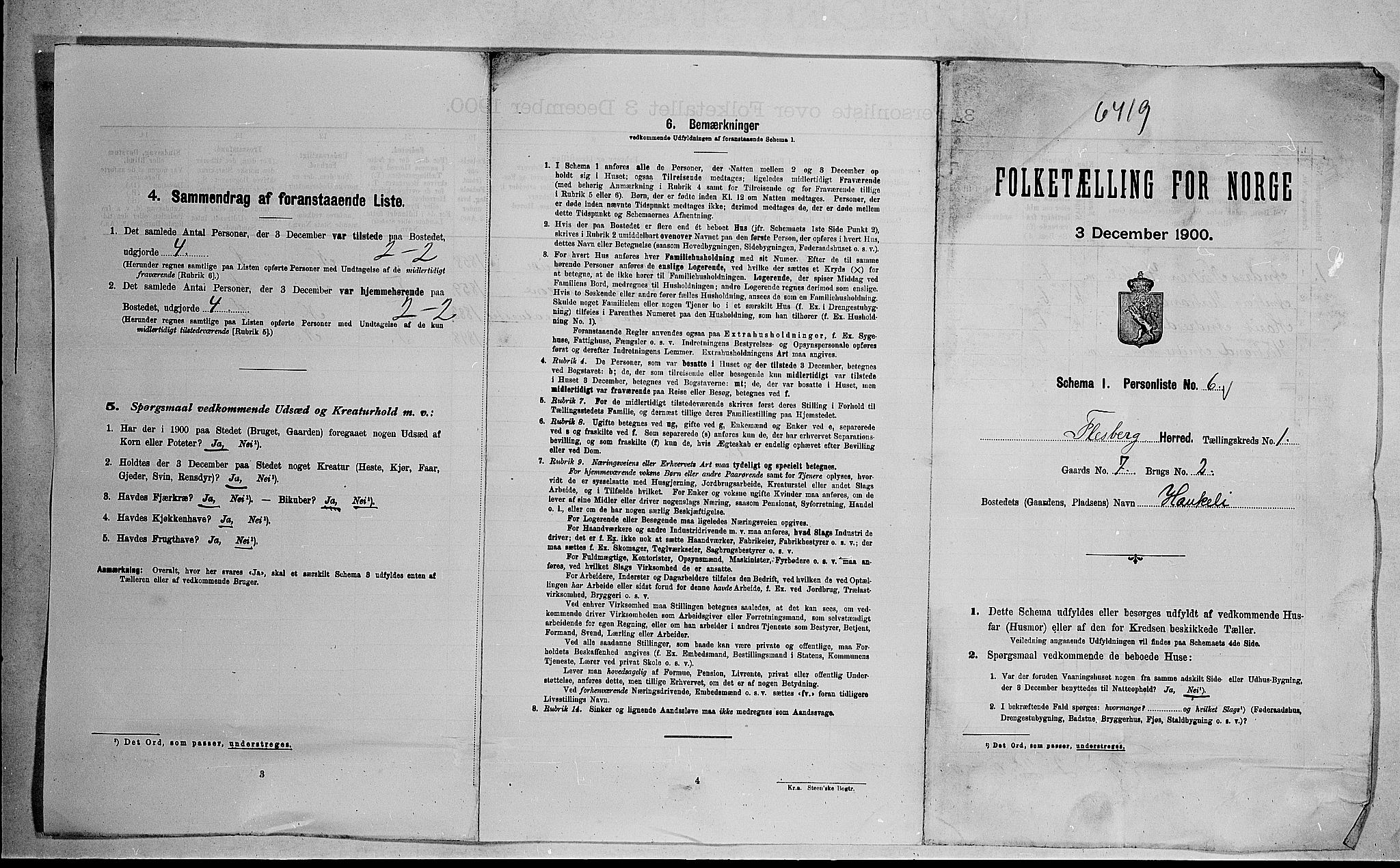 RA, 1900 census for Flesberg, 1900, p. 43