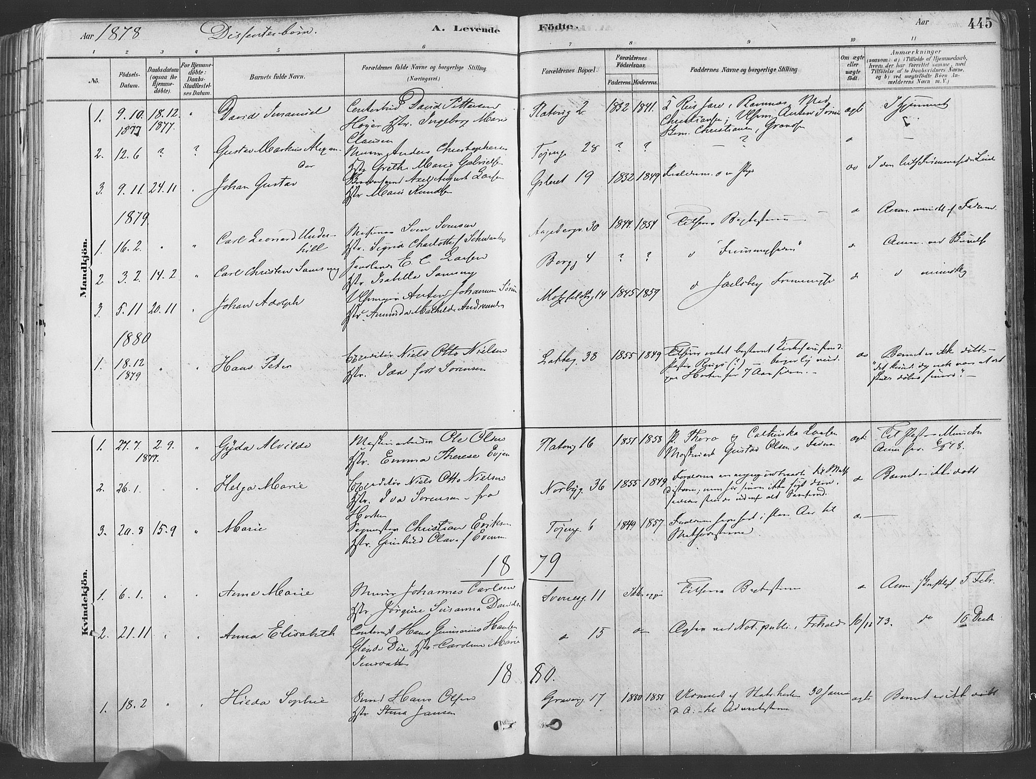 Grønland prestekontor Kirkebøker, SAO/A-10848/F/Fa/L0007: Parish register (official) no. 7, 1878-1888, p. 445