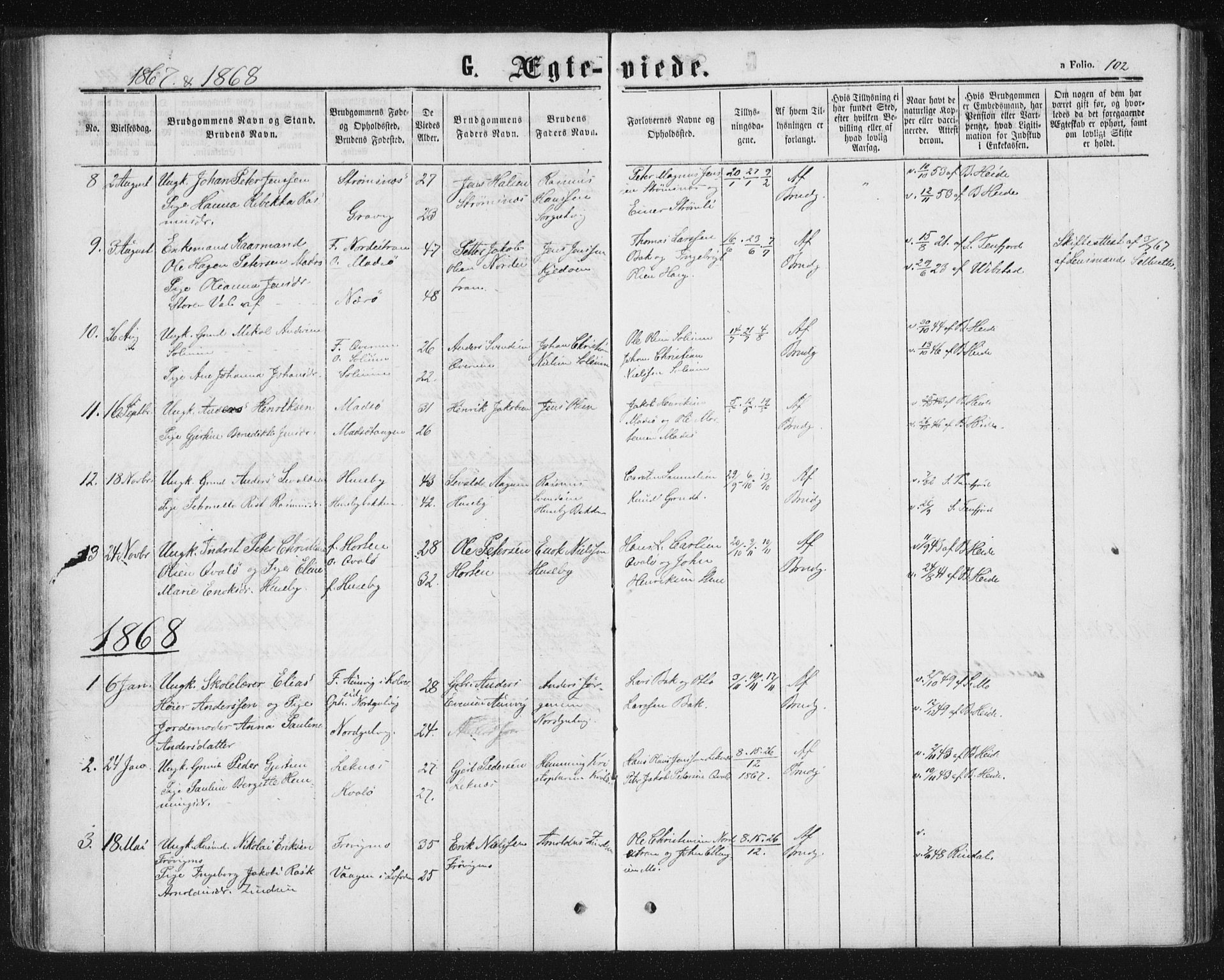 Ministerialprotokoller, klokkerbøker og fødselsregistre - Nord-Trøndelag, SAT/A-1458/788/L0696: Parish register (official) no. 788A03, 1863-1877, p. 102