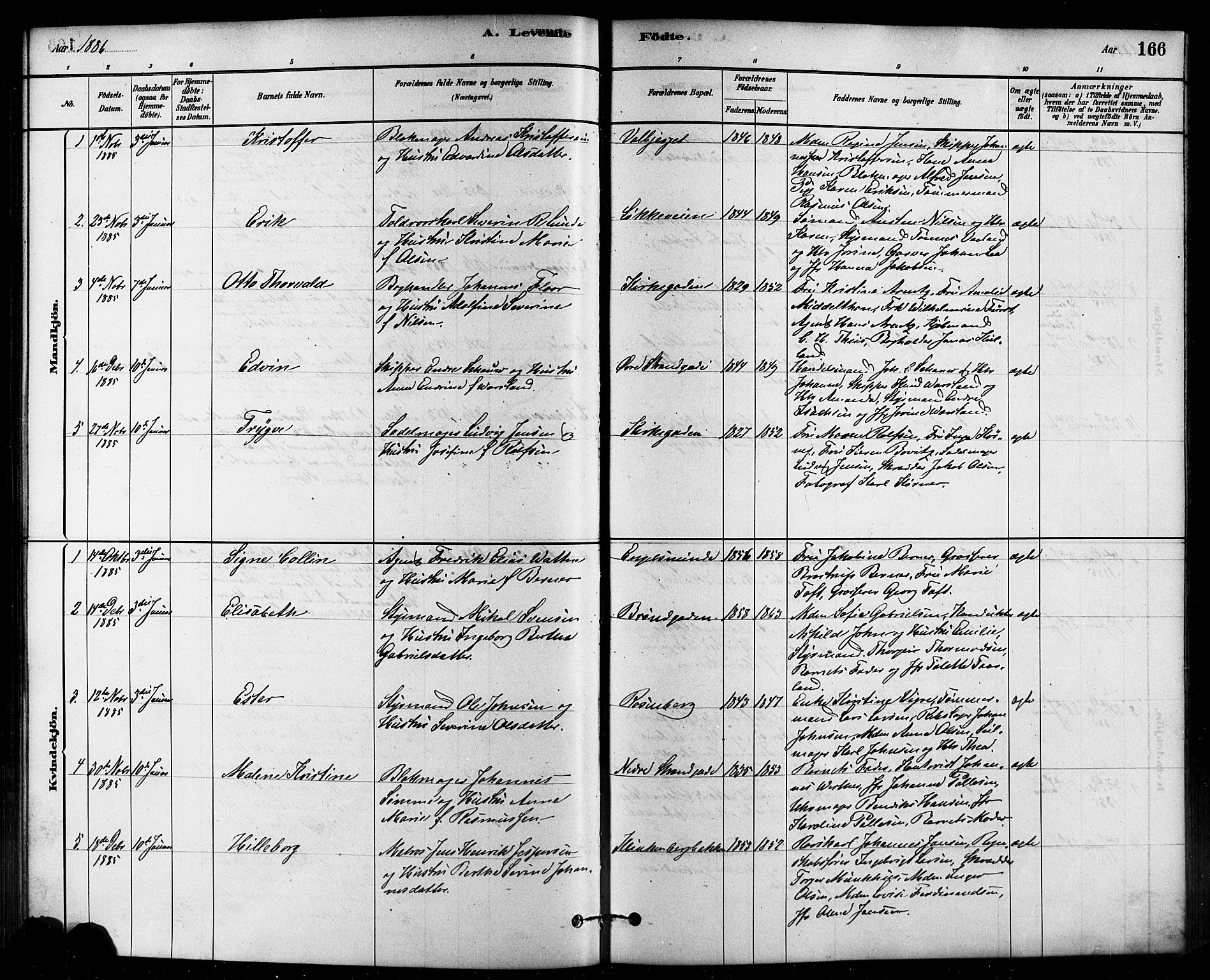 Domkirken sokneprestkontor, AV/SAST-A-101812/001/30/30BB/L0015: Parish register (copy) no. B 15, 1880-1891, p. 166