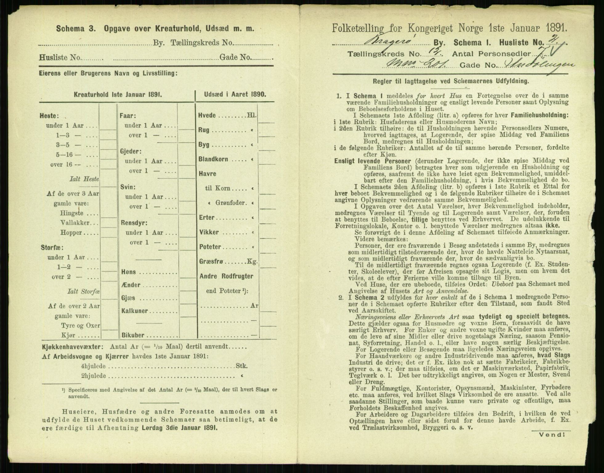 RA, 1891 census for 0801 Kragerø, 1891, p. 636