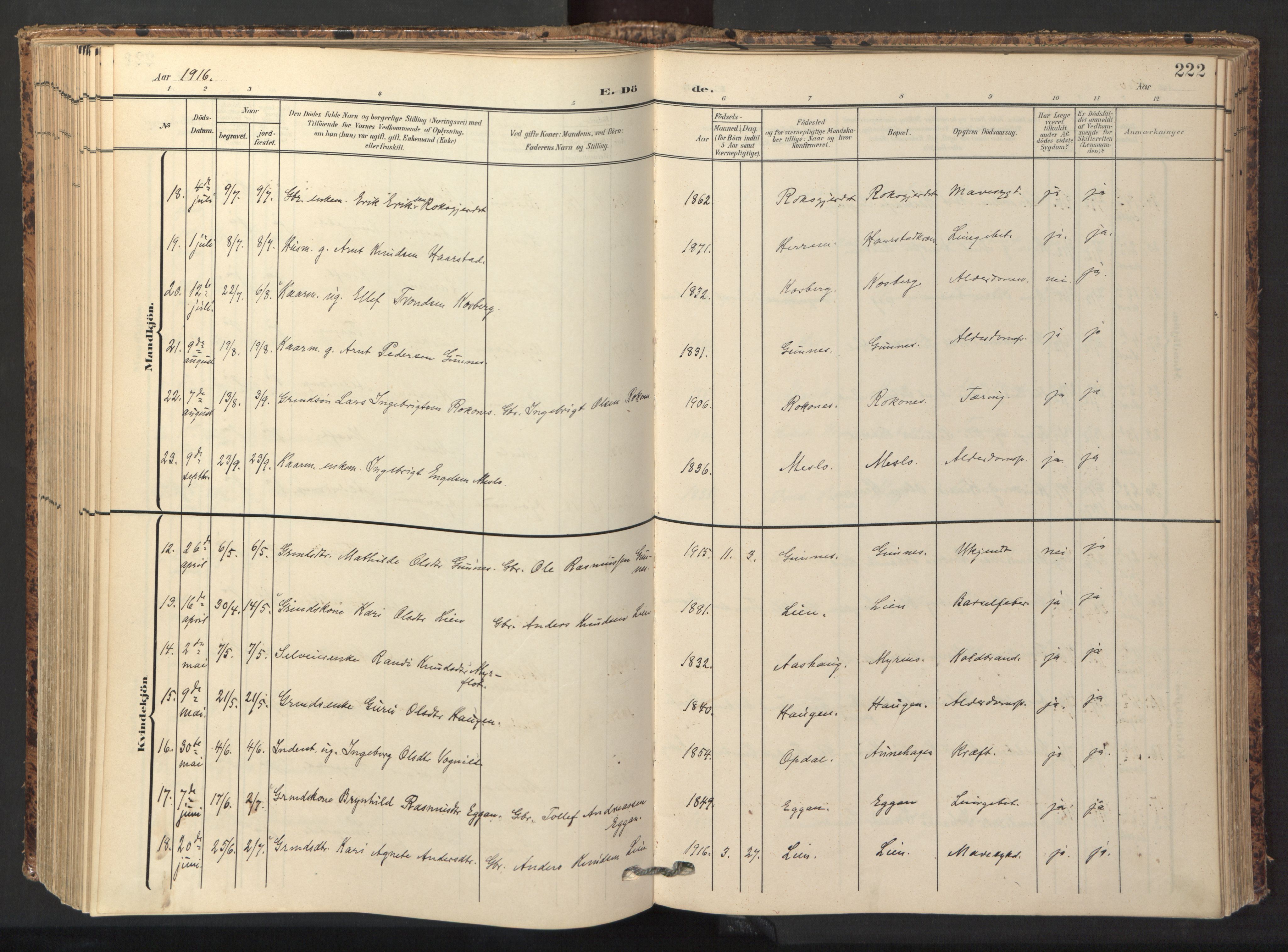 Ministerialprotokoller, klokkerbøker og fødselsregistre - Sør-Trøndelag, AV/SAT-A-1456/674/L0873: Parish register (official) no. 674A05, 1908-1923, p. 222