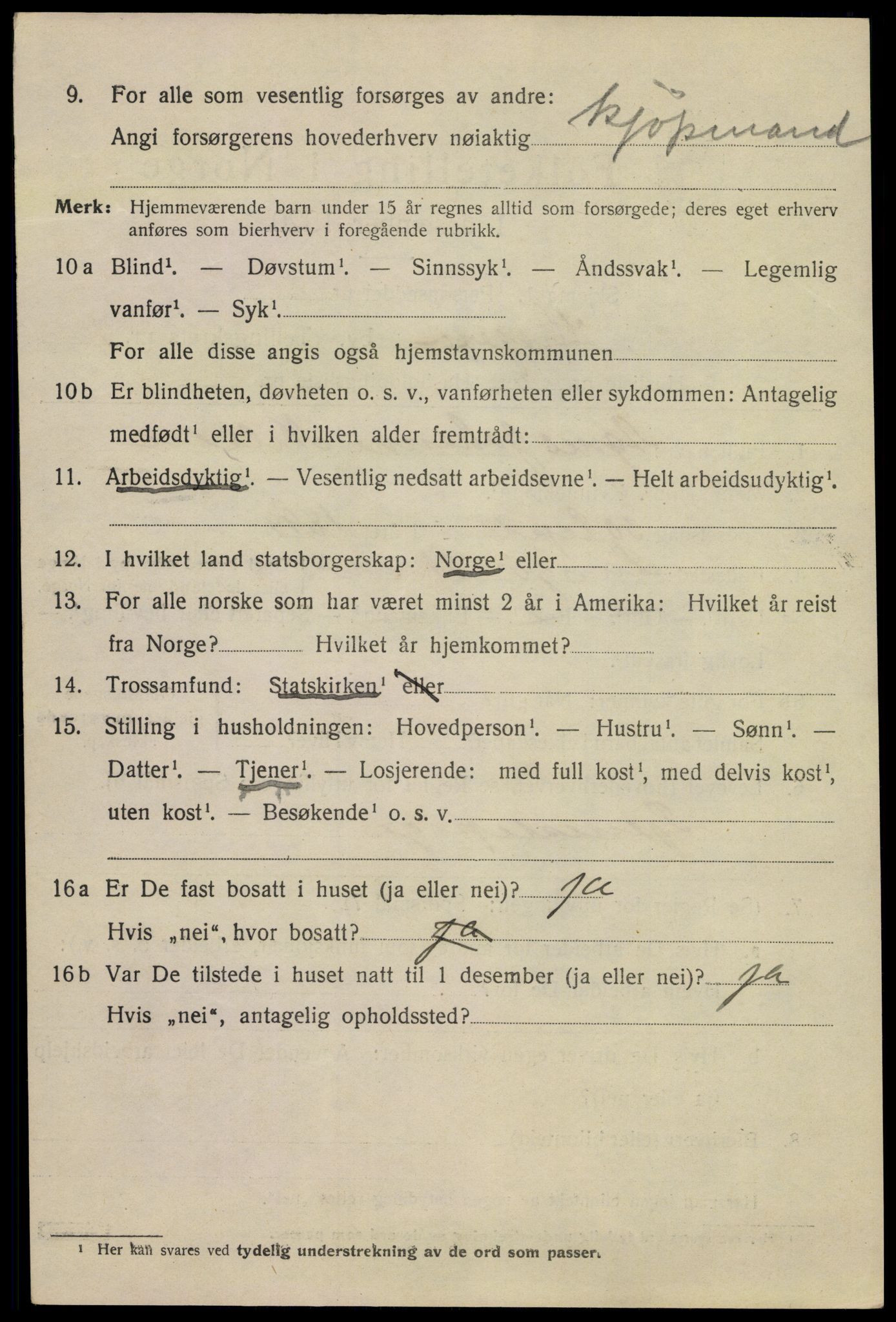 SAKO, 1920 census for Kragerø, 1920, p. 5336