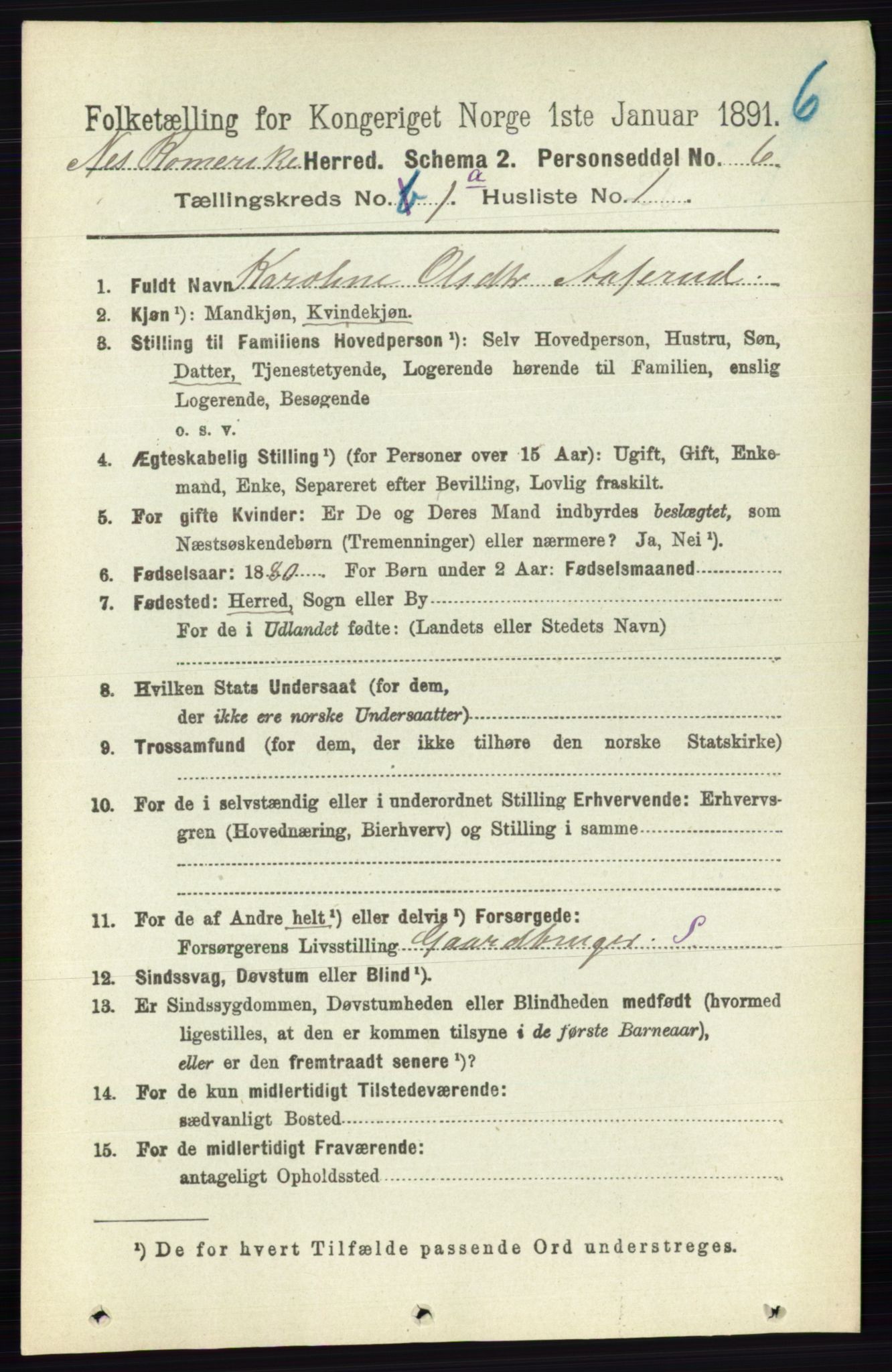 RA, 1891 census for 0236 Nes, 1891, p. 133