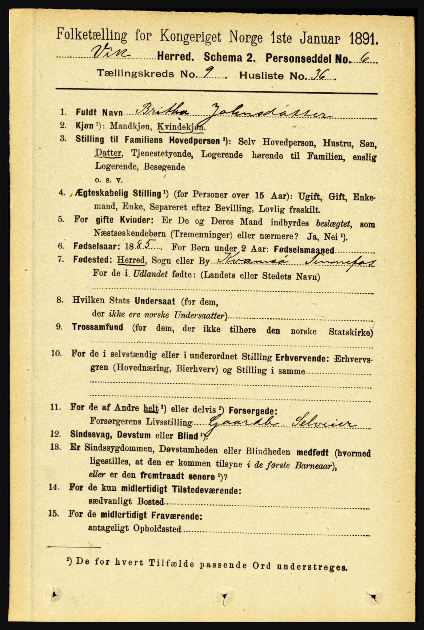 RA, 1891 census for 1417 Vik, 1891, p. 4209