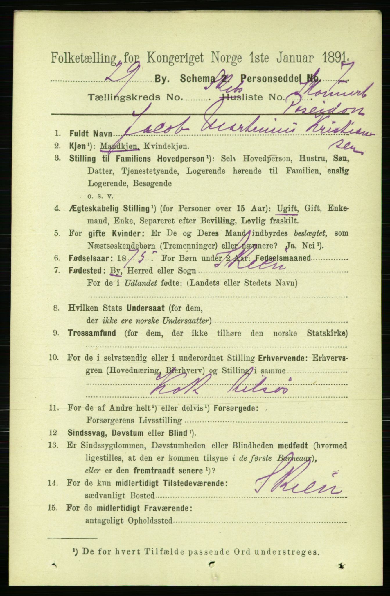 RA, 1891 census for 0805 Porsgrunn, 1891, p. 5456