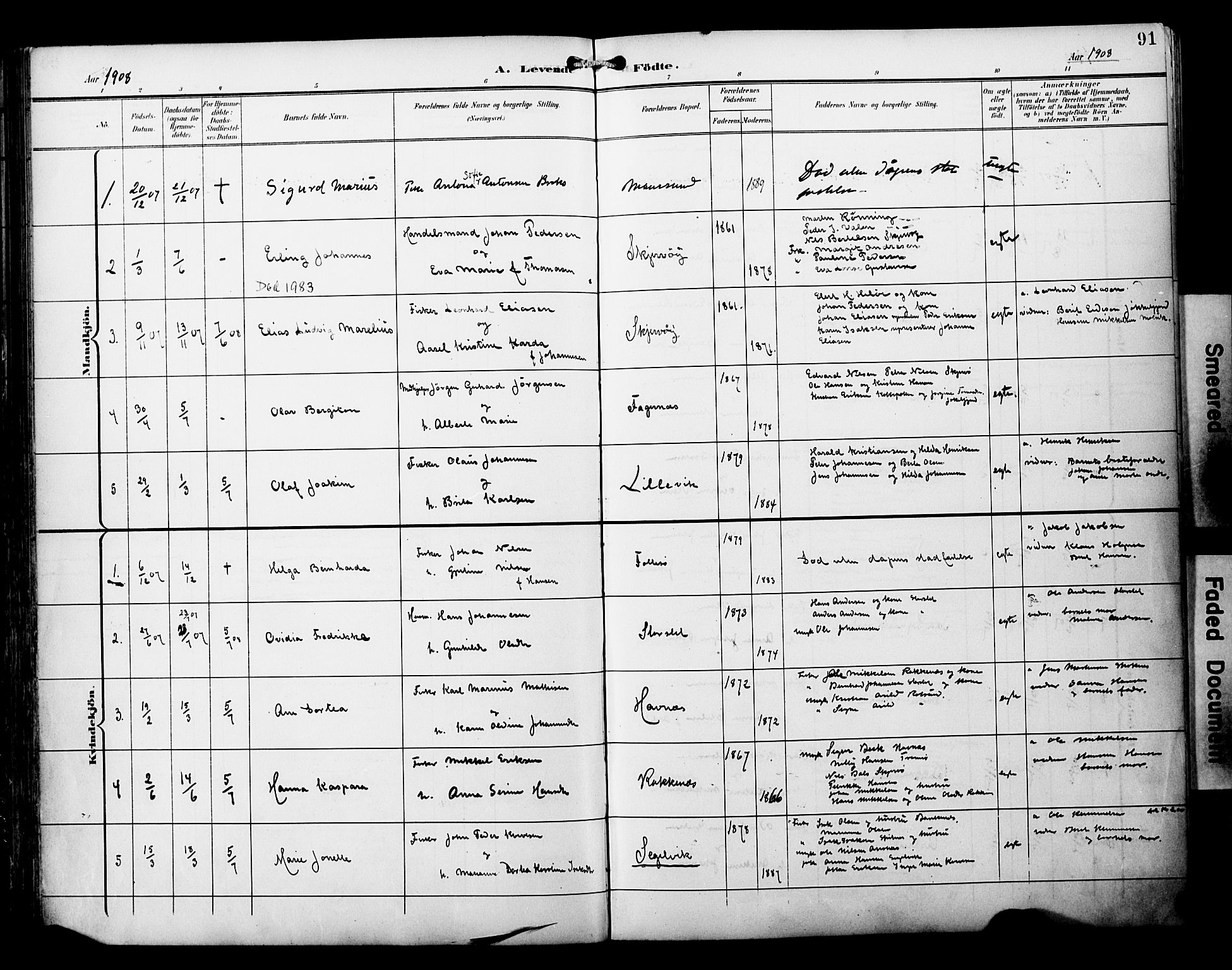 Skjervøy sokneprestkontor, SATØ/S-1300/H/Ha/Haa/L0015kirke: Parish register (official) no. 15, 1899-1909, p. 91