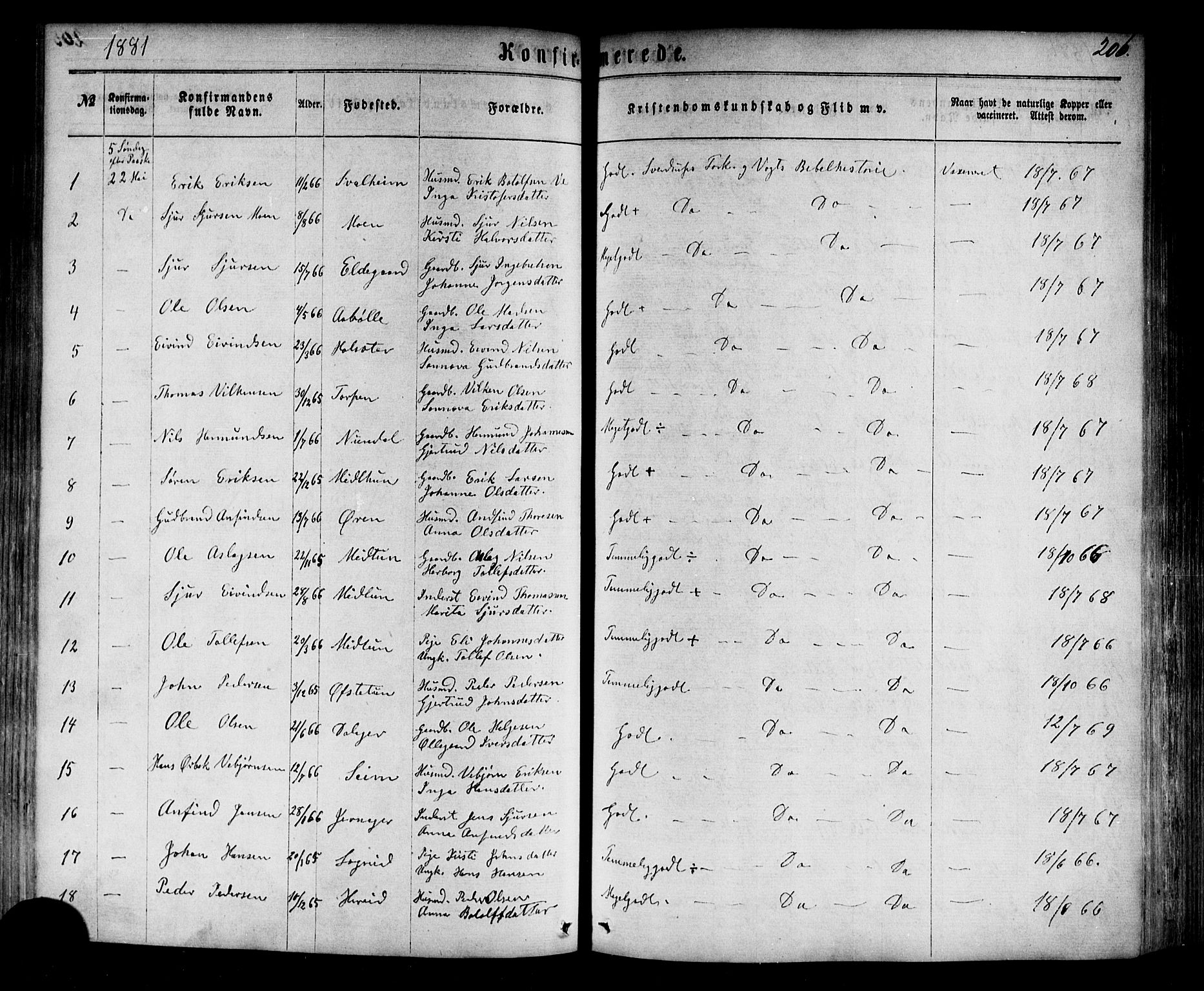 Årdal sokneprestembete, SAB/A-81701: Parish register (official) no. A 3, 1863-1886, p. 206