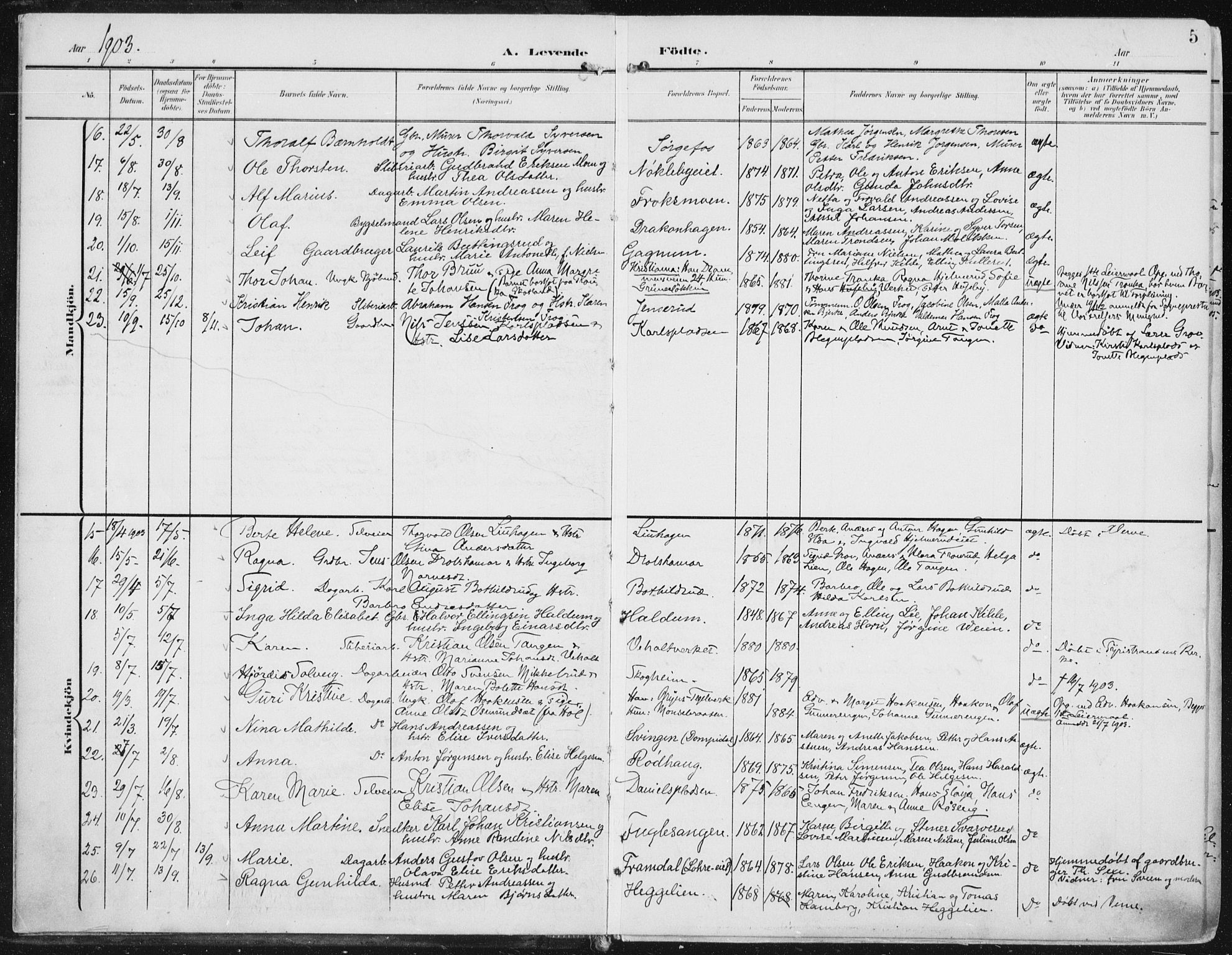 Norderhov kirkebøker, AV/SAKO-A-237/F/Fa/L0017: Parish register (official) no. 17, 1903-1919, p. 5