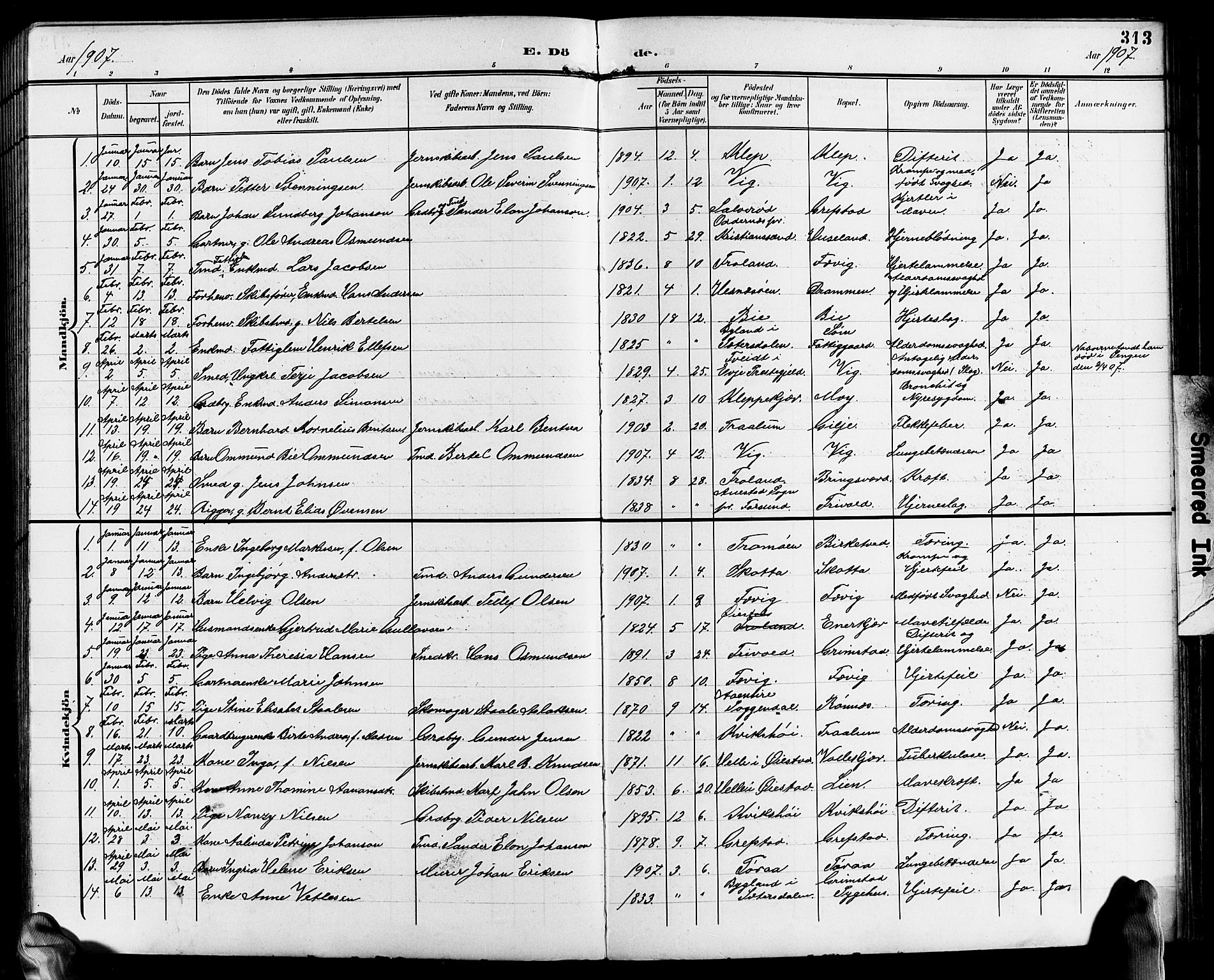 Fjære sokneprestkontor, SAK/1111-0011/F/Fb/L0012: Parish register (copy) no. B 12, 1902-1925, p. 313