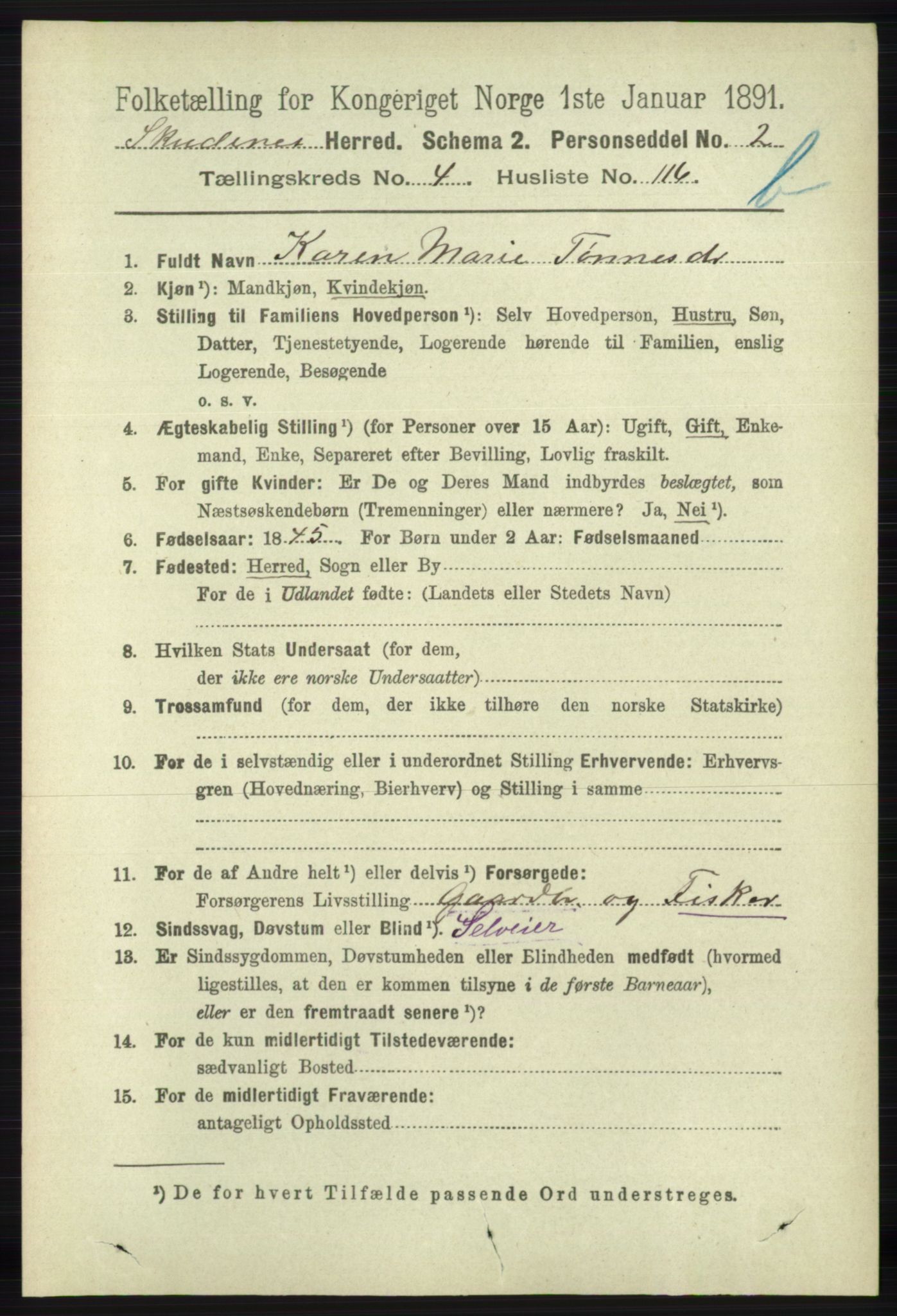 RA, 1891 census for 1150 Skudenes, 1891, p. 5155