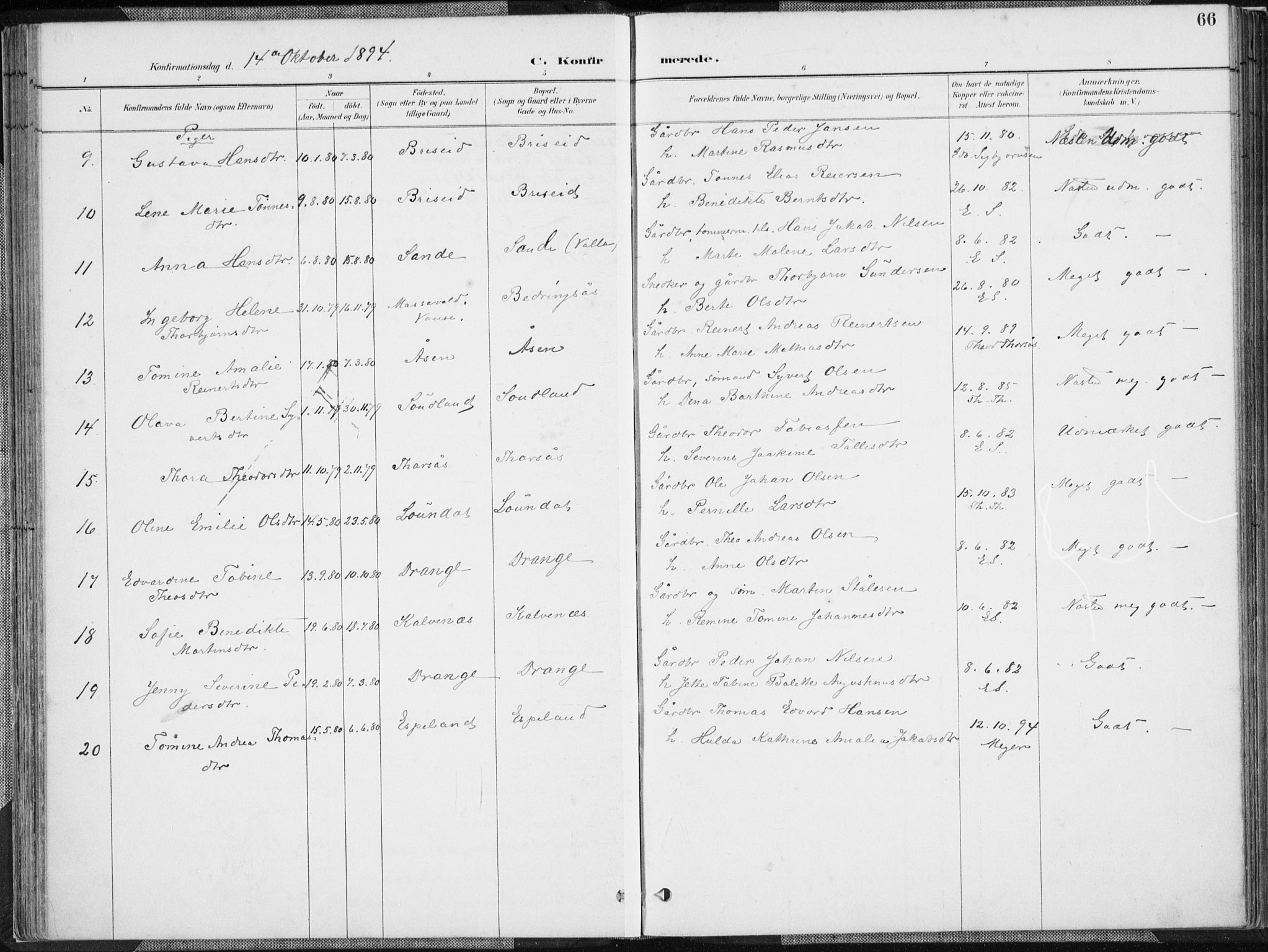 Herad sokneprestkontor, AV/SAK-1111-0018/F/Fa/Faa/L0006: Parish register (official) no. A 6, 1887-1907, p. 66