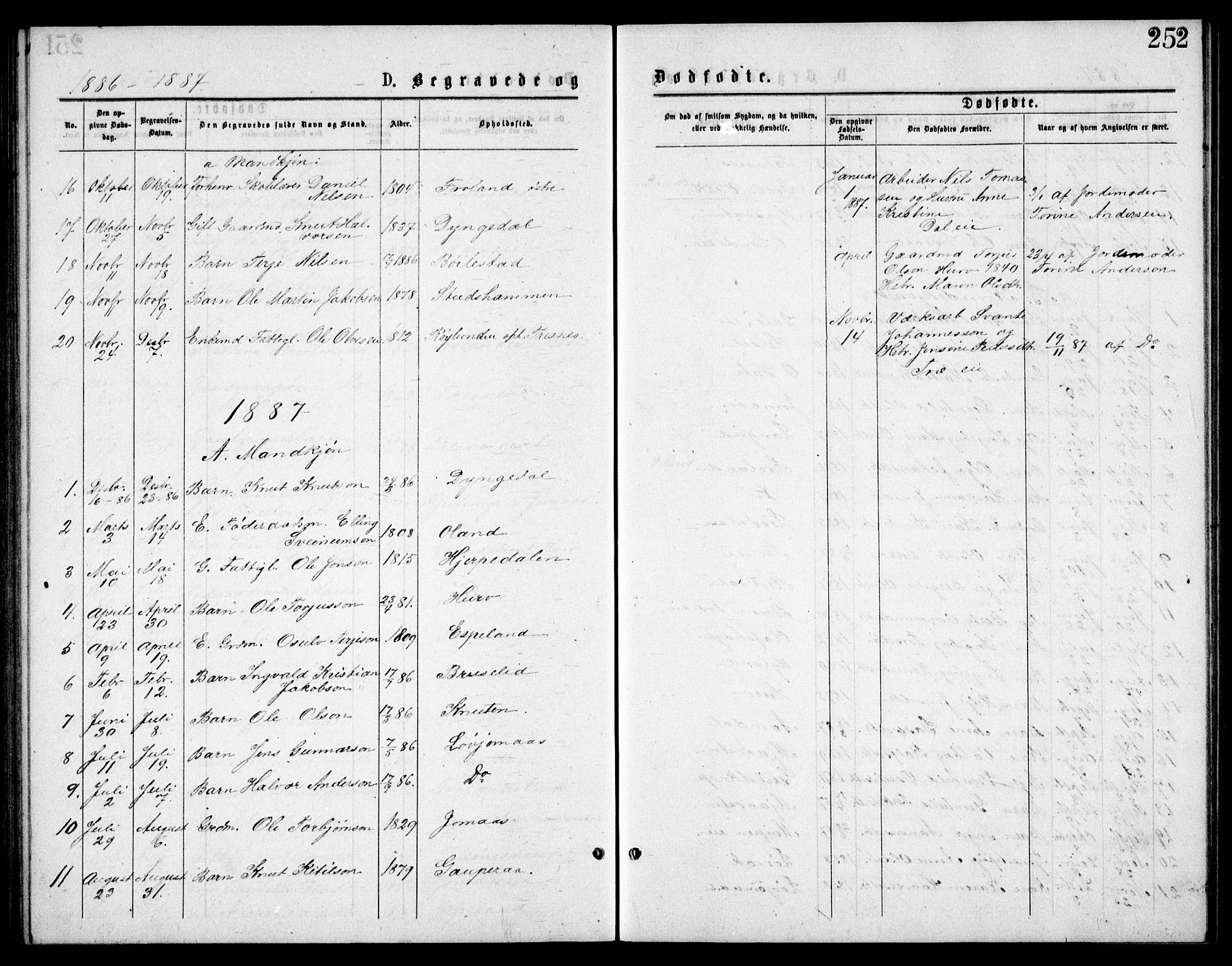 Froland sokneprestkontor, SAK/1111-0013/F/Fb/L0009: Parish register (copy) no. B 9, 1875-1893, p. 252