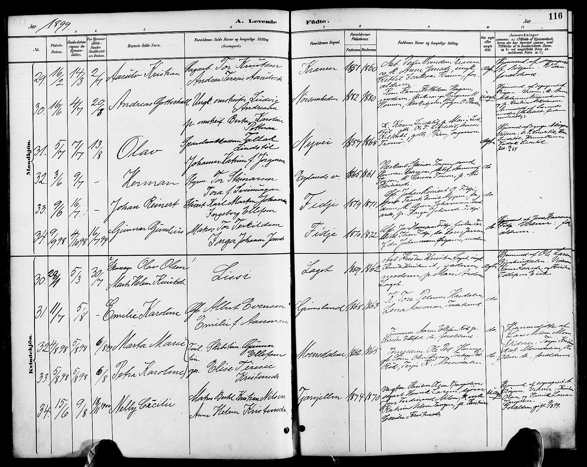 Søndeled sokneprestkontor, AV/SAK-1111-0038/F/Fa/L0005: Parish register (official) no. A 5, 1889-1899, p. 116