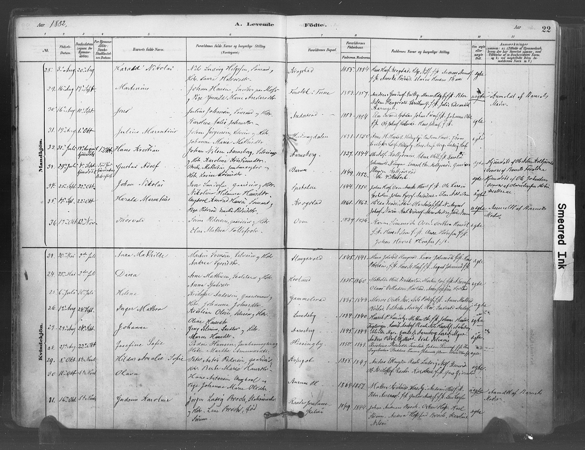 Råde prestekontor kirkebøker, AV/SAO-A-2009/F/Fa/L0007: Parish register (official) no. 7, 1878-1902, p. 22