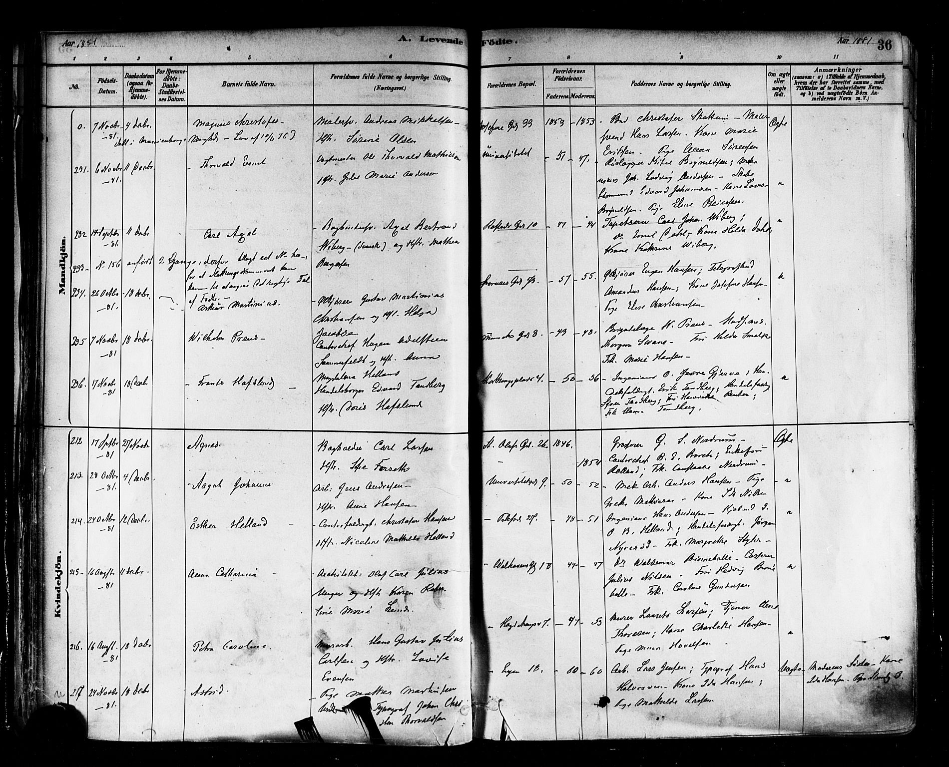 Trefoldighet prestekontor Kirkebøker, AV/SAO-A-10882/F/Fa/L0005: Parish register (official) no. I 5, 1881-1891, p. 36