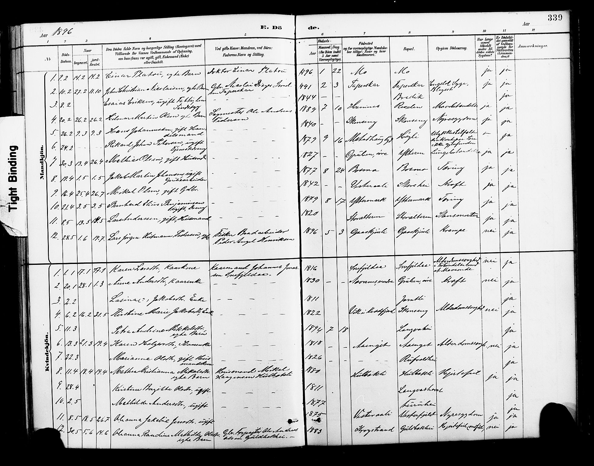 Ministerialprotokoller, klokkerbøker og fødselsregistre - Nordland, AV/SAT-A-1459/827/L0421: Parish register (copy) no. 827C10, 1887-1906, p. 339