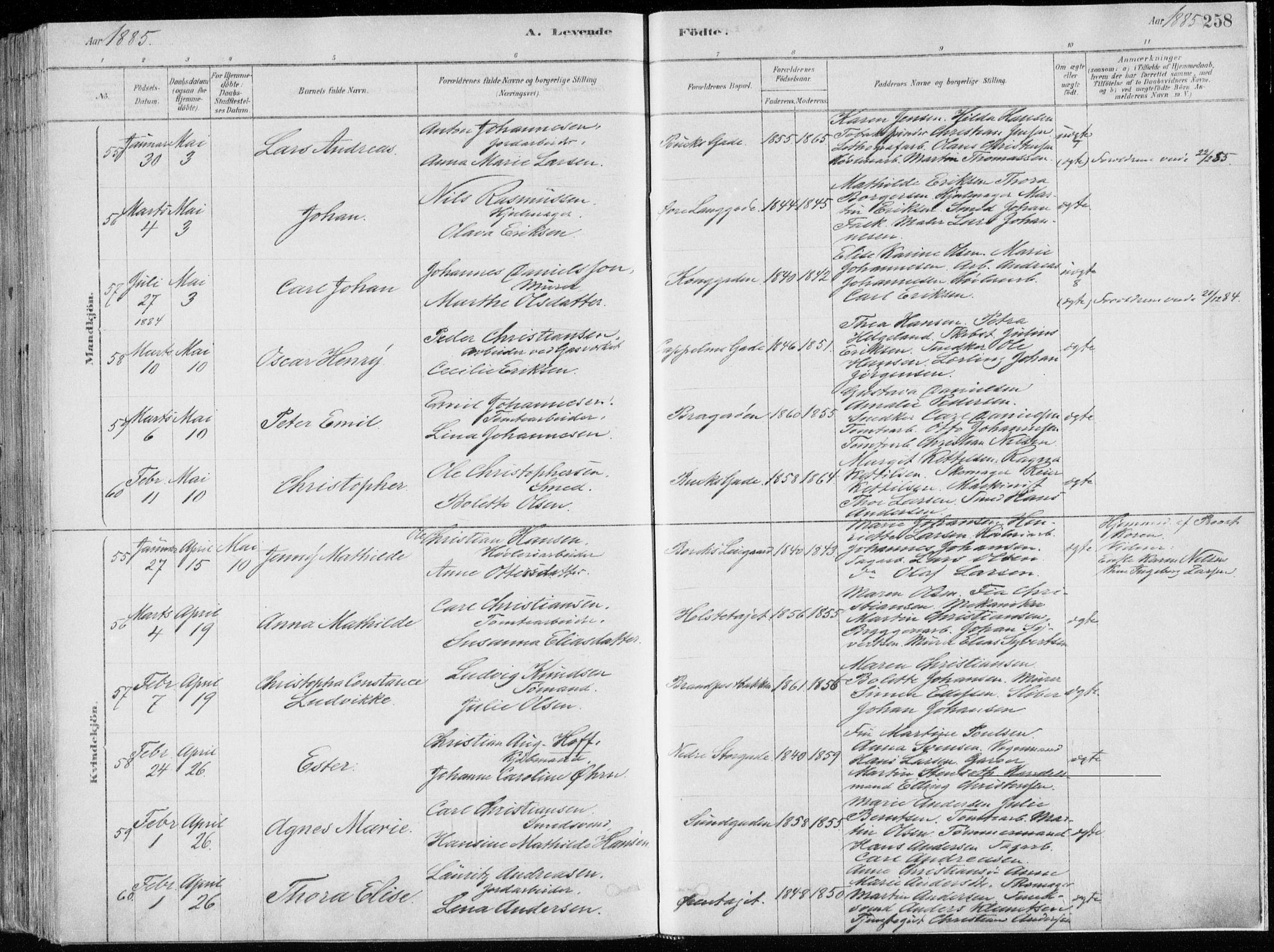 Bragernes kirkebøker, SAKO/A-6/F/Fb/L0006a: Parish register (official) no. II 6A, 1878-1885, p. 258
