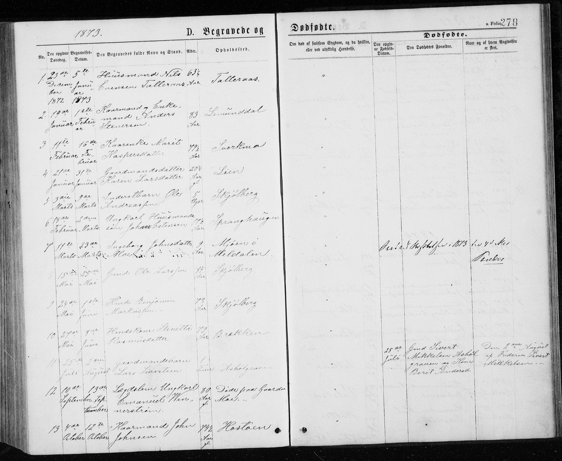 Ministerialprotokoller, klokkerbøker og fødselsregistre - Sør-Trøndelag, AV/SAT-A-1456/671/L0843: Parish register (copy) no. 671C02, 1873-1892, p. 278