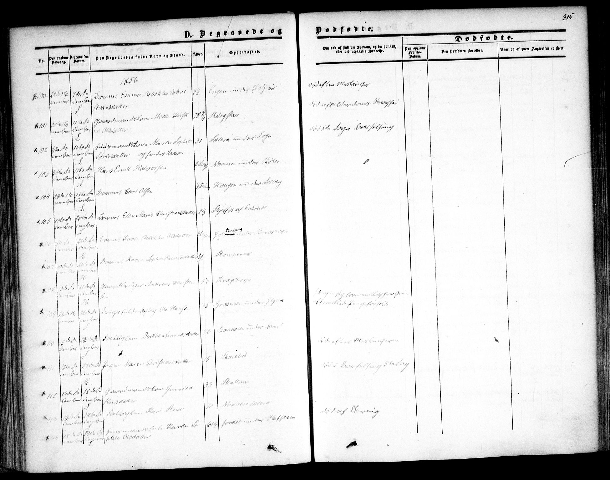 Høland prestekontor Kirkebøker, AV/SAO-A-10346a/F/Fa/L0010: Parish register (official) no. I 10, 1854-1861, p. 315