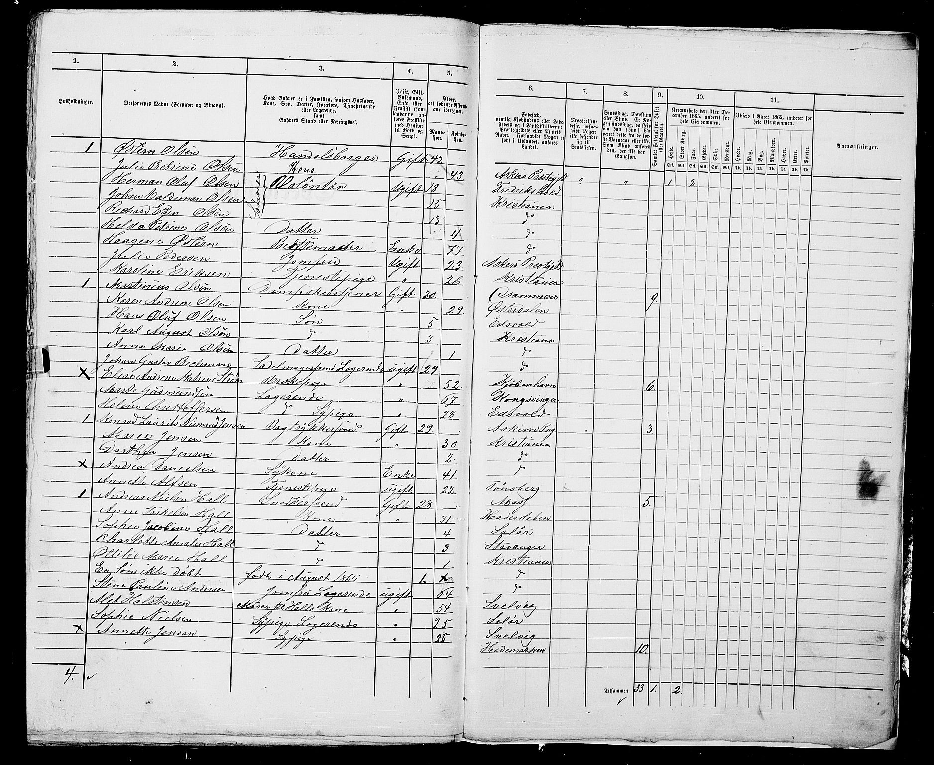 RA, 1865 census for Kristiania, 1865, p. 1119