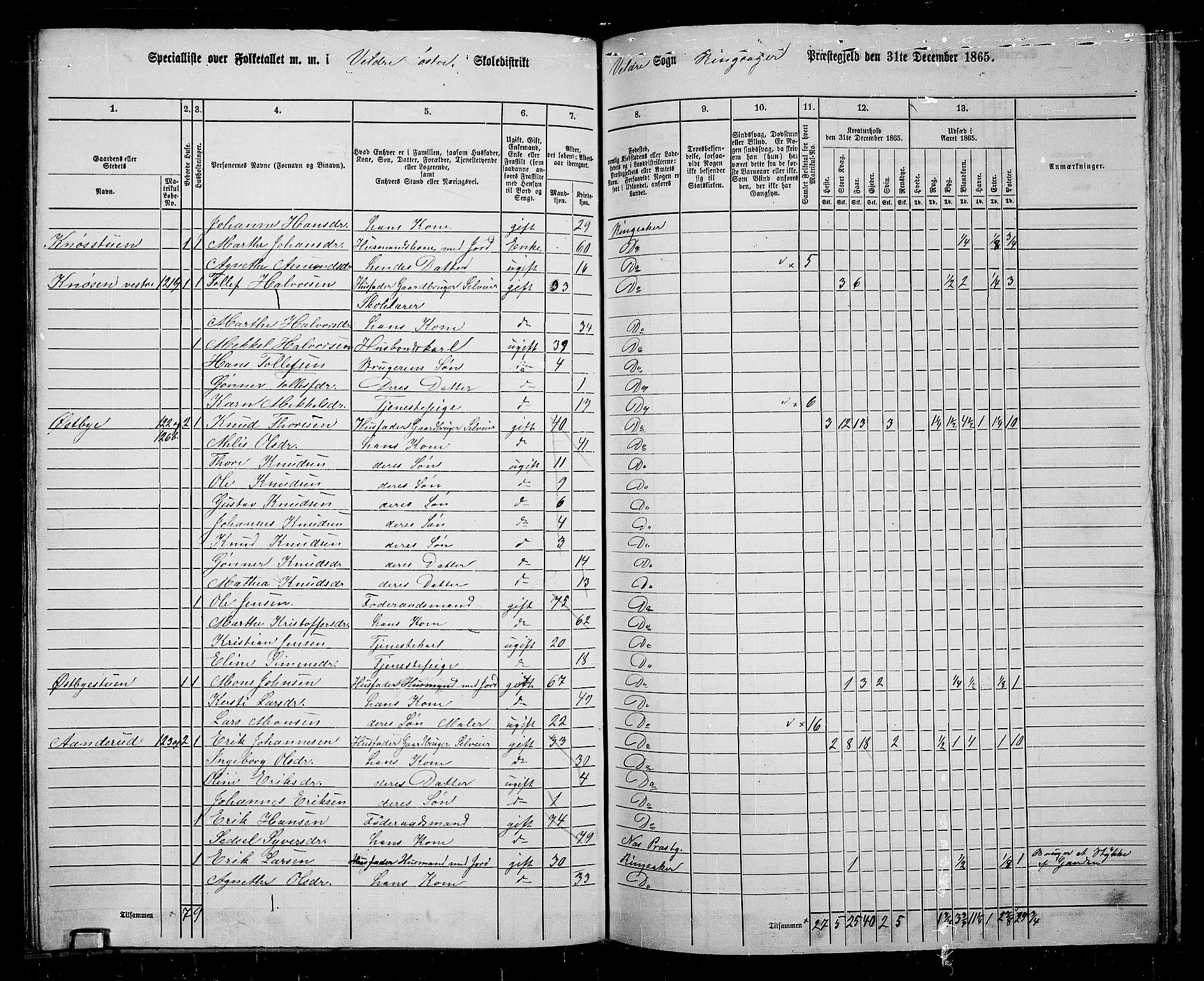 RA, 1865 census for Ringsaker, 1865, p. 192