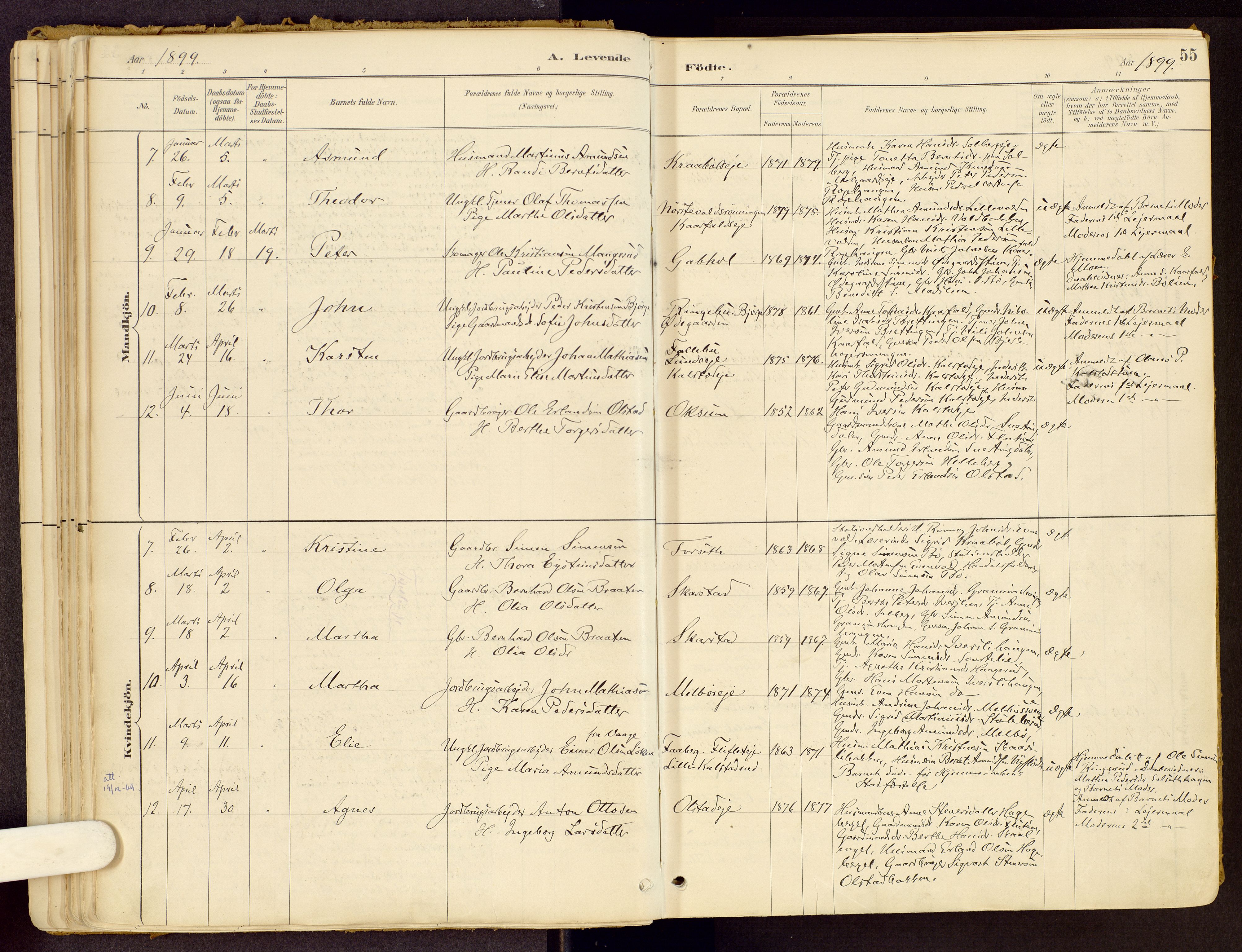Vestre Gausdal prestekontor, SAH/PREST-094/H/Ha/Haa/L0001: Parish register (official) no. 1, 1887-1914, p. 55