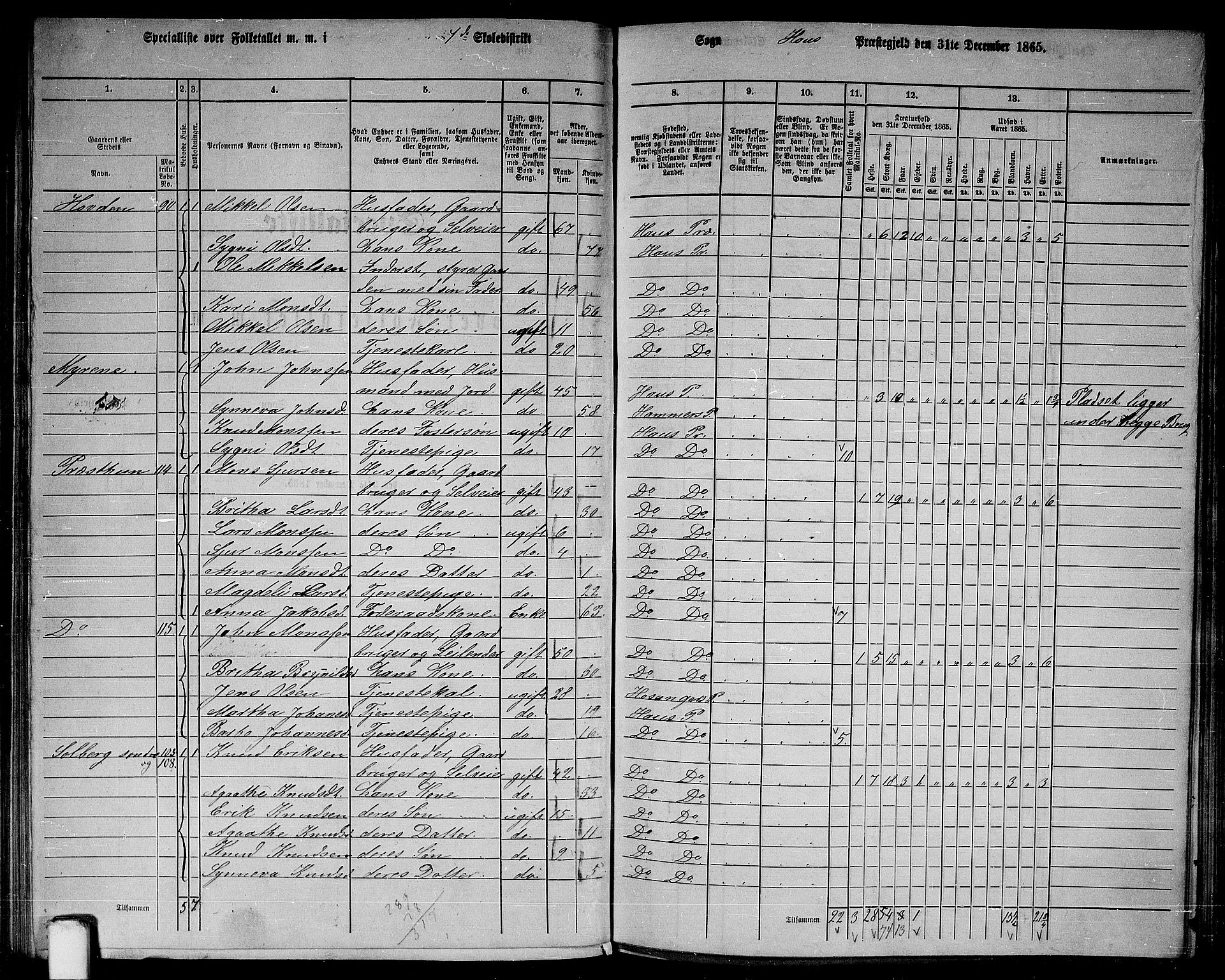 RA, 1865 census for Haus, 1865, p. 140