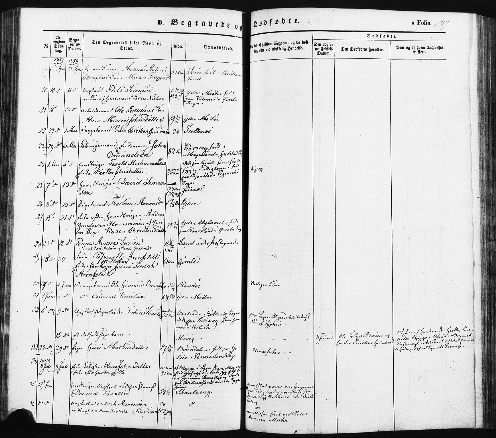Oddernes sokneprestkontor, SAK/1111-0033/F/Fa/Faa/L0007: Parish register (official) no. A 7, 1851-1863, p. 197