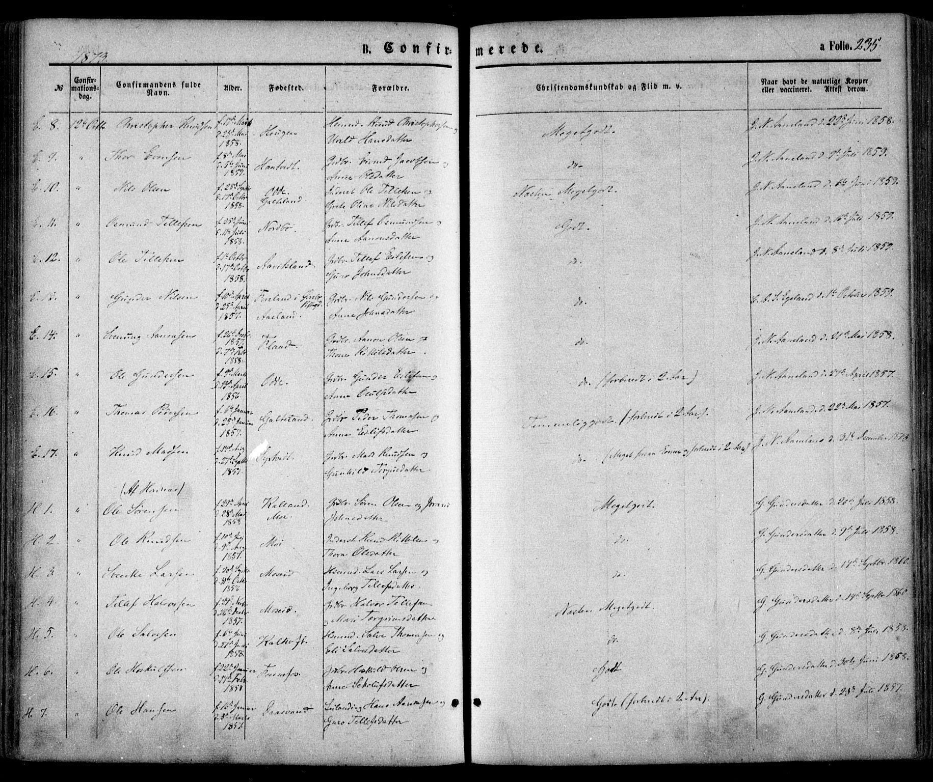 Evje sokneprestkontor, AV/SAK-1111-0008/F/Fa/Faa/L0006: Parish register (official) no. A 6, 1866-1884, p. 235