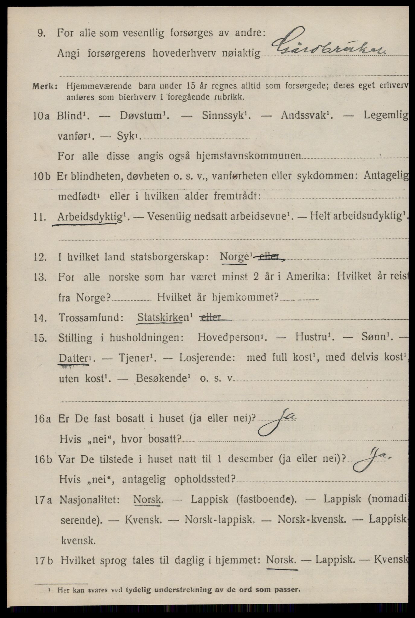 SAT, 1920 census for Røros, 1920, p. 11581