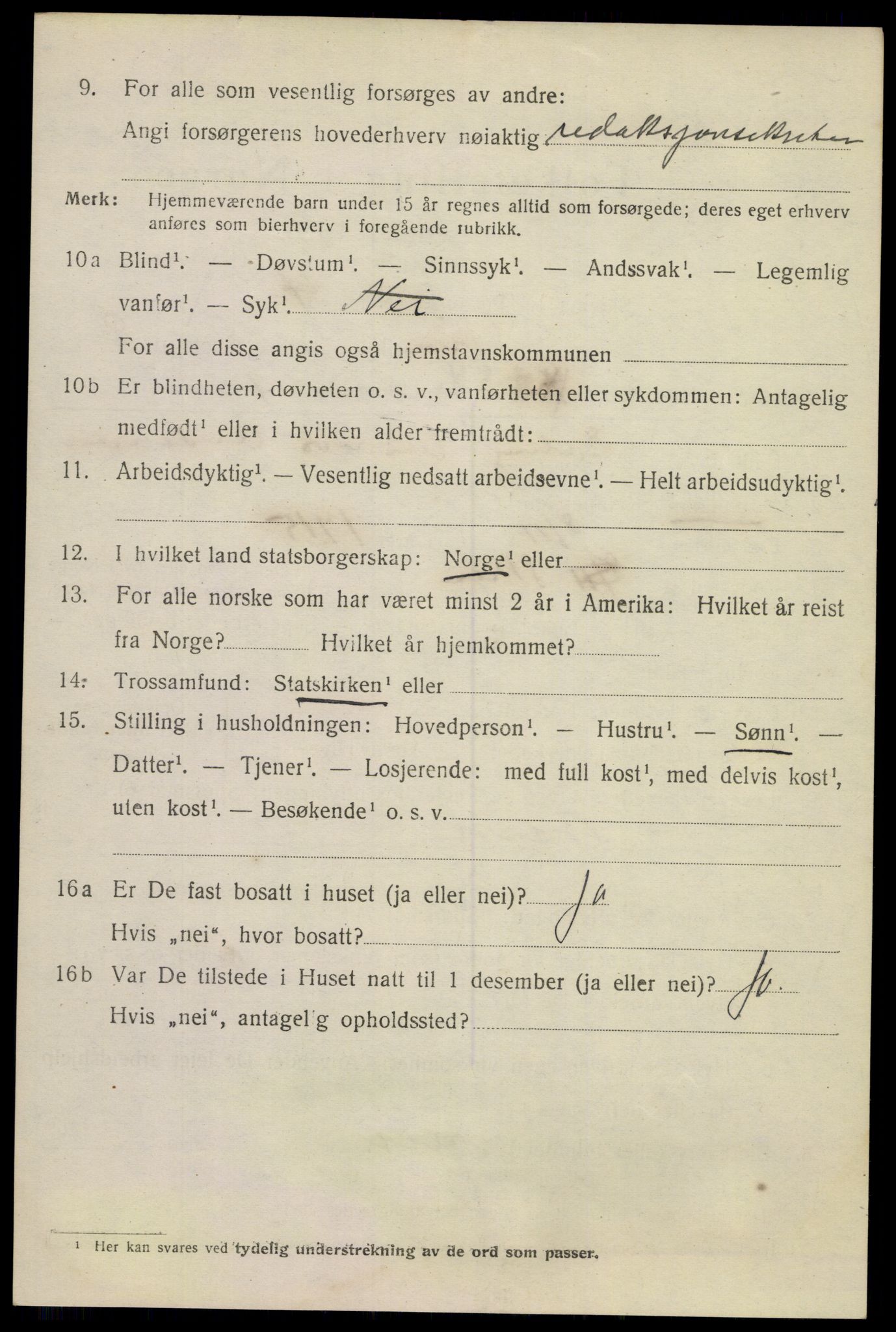 SAKO, 1920 census for Skien, 1920, p. 28619