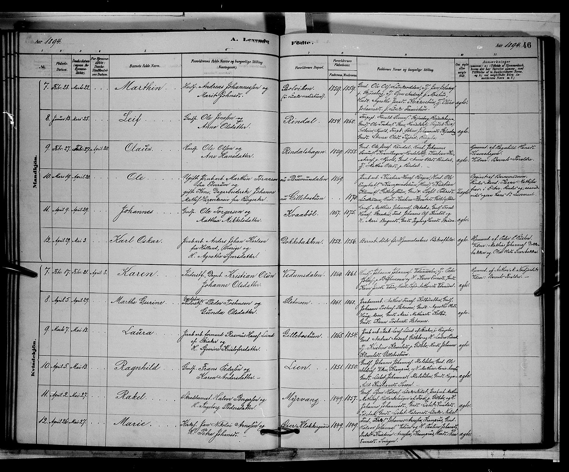 Øyer prestekontor, SAH/PREST-084/H/Ha/Hab/L0002: Parish register (copy) no. 2, 1878-1896, p. 46