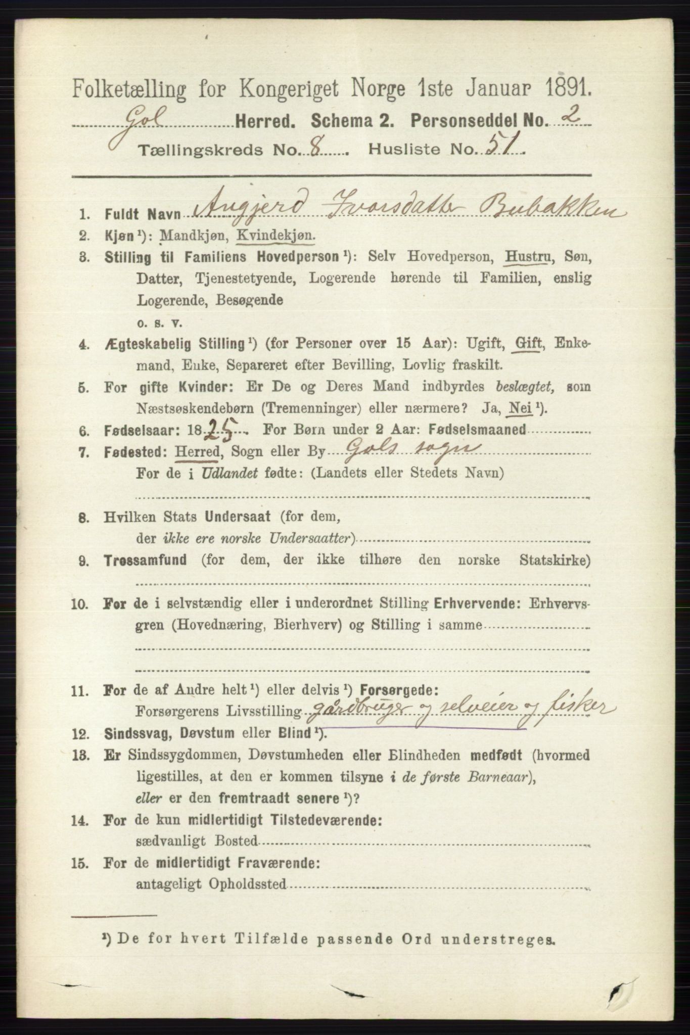 RA, 1891 census for 0617 Gol og Hemsedal, 1891, p. 3294