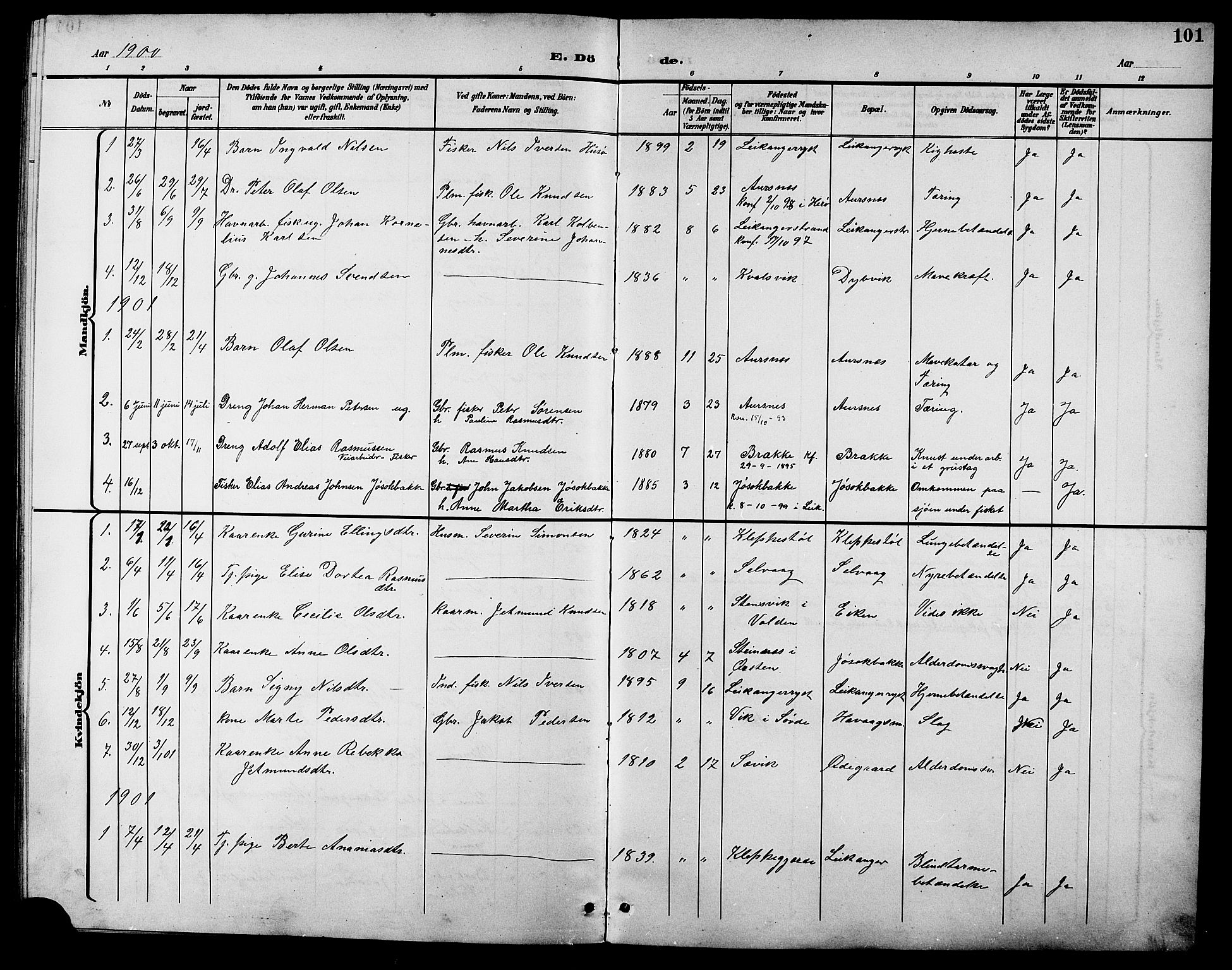 Ministerialprotokoller, klokkerbøker og fødselsregistre - Møre og Romsdal, AV/SAT-A-1454/508/L0098: Parish register (copy) no. 508C02, 1898-1916, p. 101