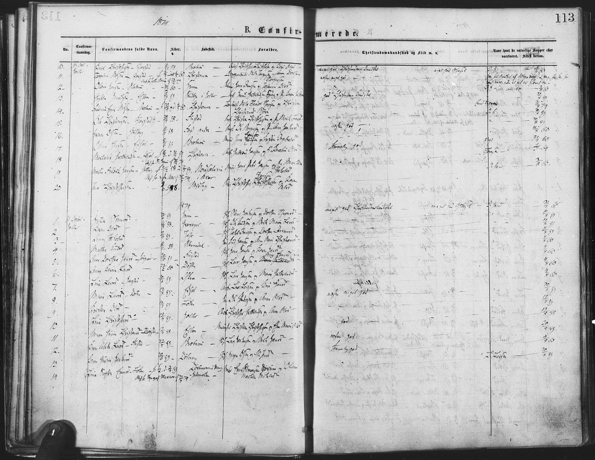 Nannestad prestekontor Kirkebøker, AV/SAO-A-10414a/F/Fa/L0013: Parish register (official) no. I 13, 1873-1880, p. 113