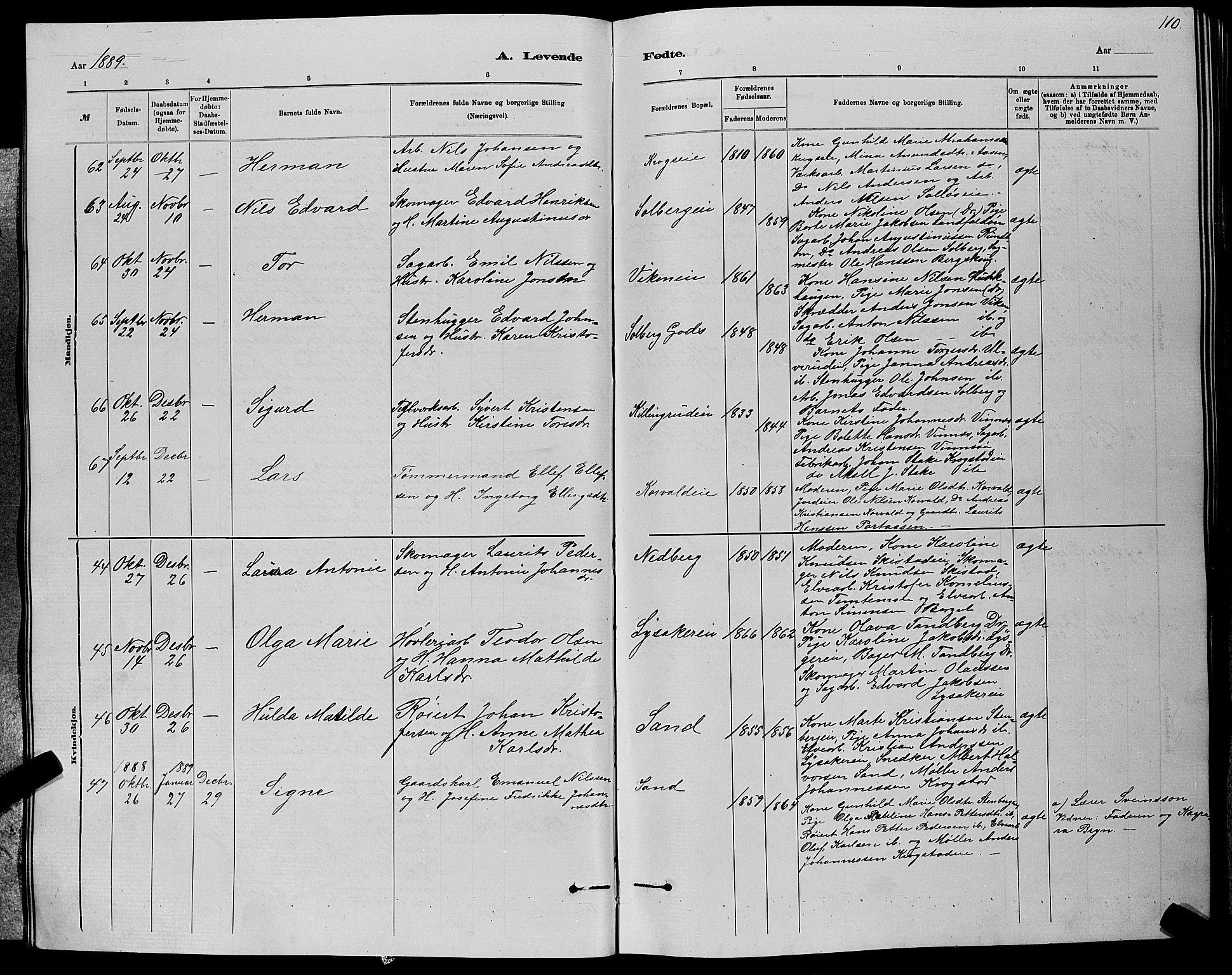 Nedre Eiker kirkebøker, AV/SAKO-A-612/G/Ga/L0002: Parish register (copy) no. 2, 1880-1896, p. 110