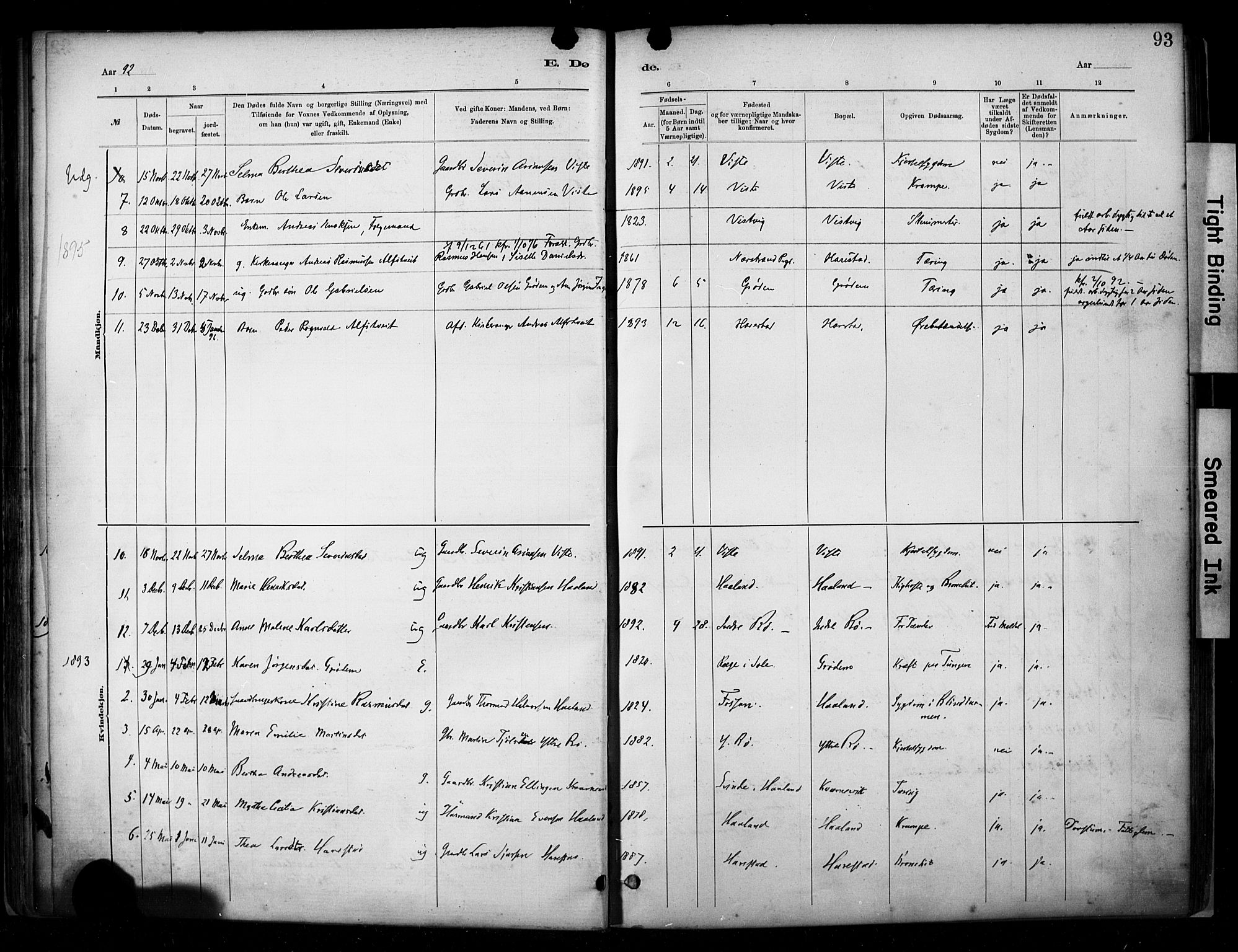 Hetland sokneprestkontor, SAST/A-101826/30/30BA/L0009: Parish register (official) no. A 9, 1882-1918, p. 93