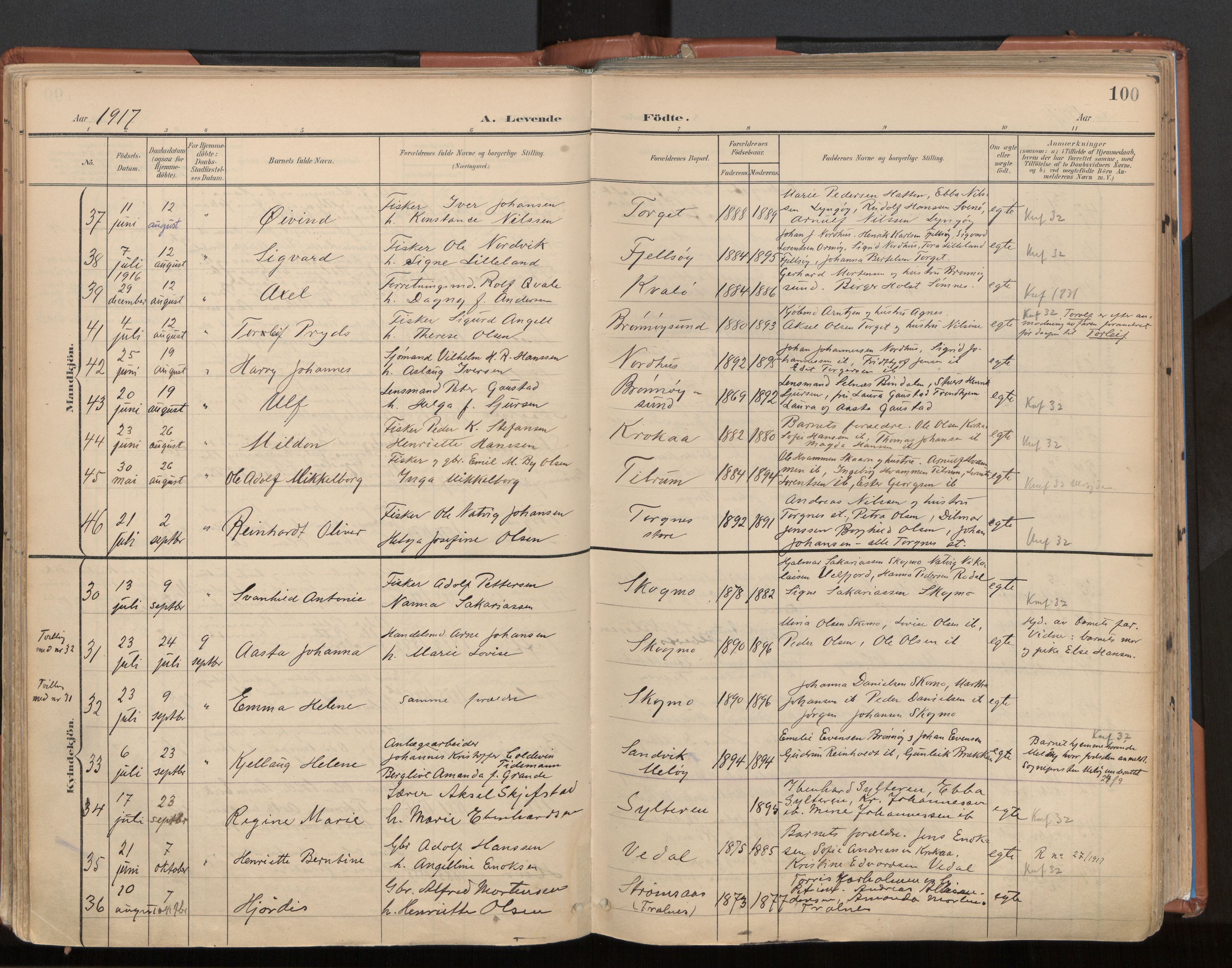 Ministerialprotokoller, klokkerbøker og fødselsregistre - Nordland, SAT/A-1459/813/L0201: Parish register (official) no. 813A11, 1901-1918, p. 100
