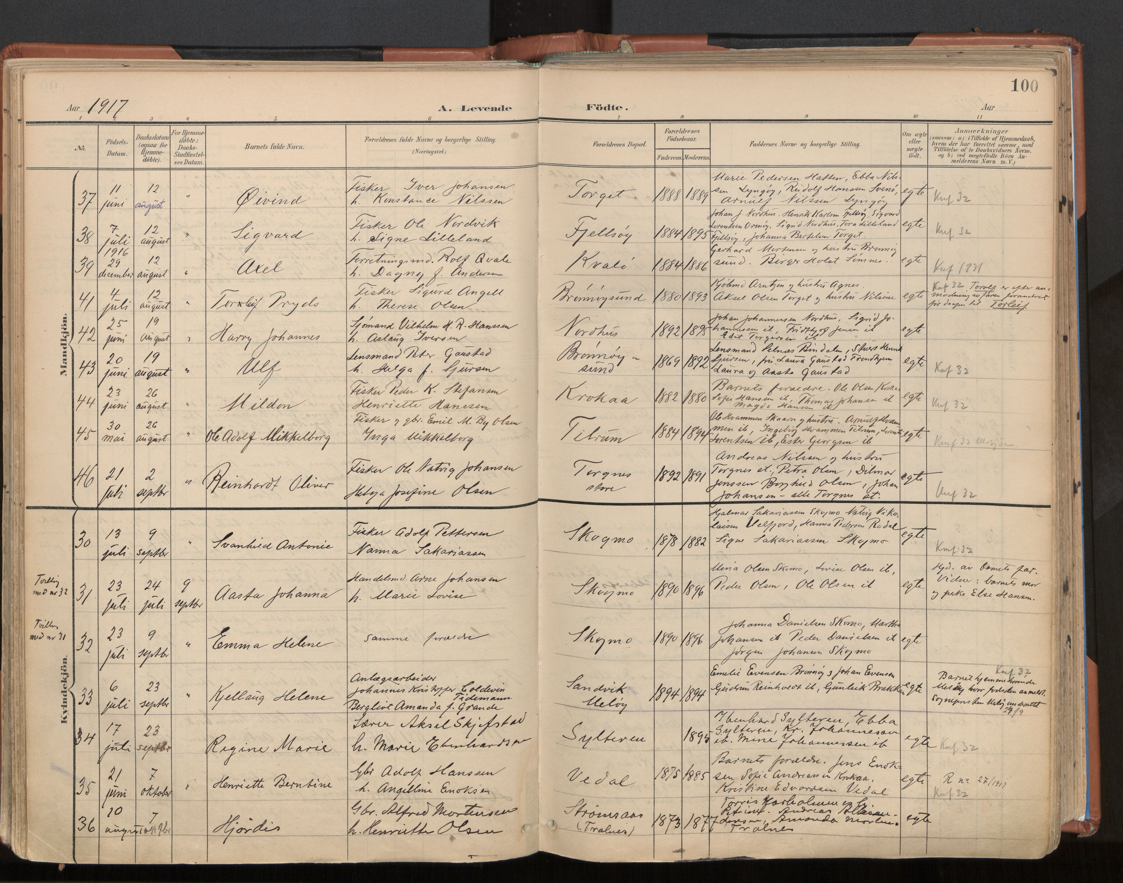 Ministerialprotokoller, klokkerbøker og fødselsregistre - Nordland, AV/SAT-A-1459/813/L0201: Parish register (official) no. 813A11, 1901-1918, p. 100