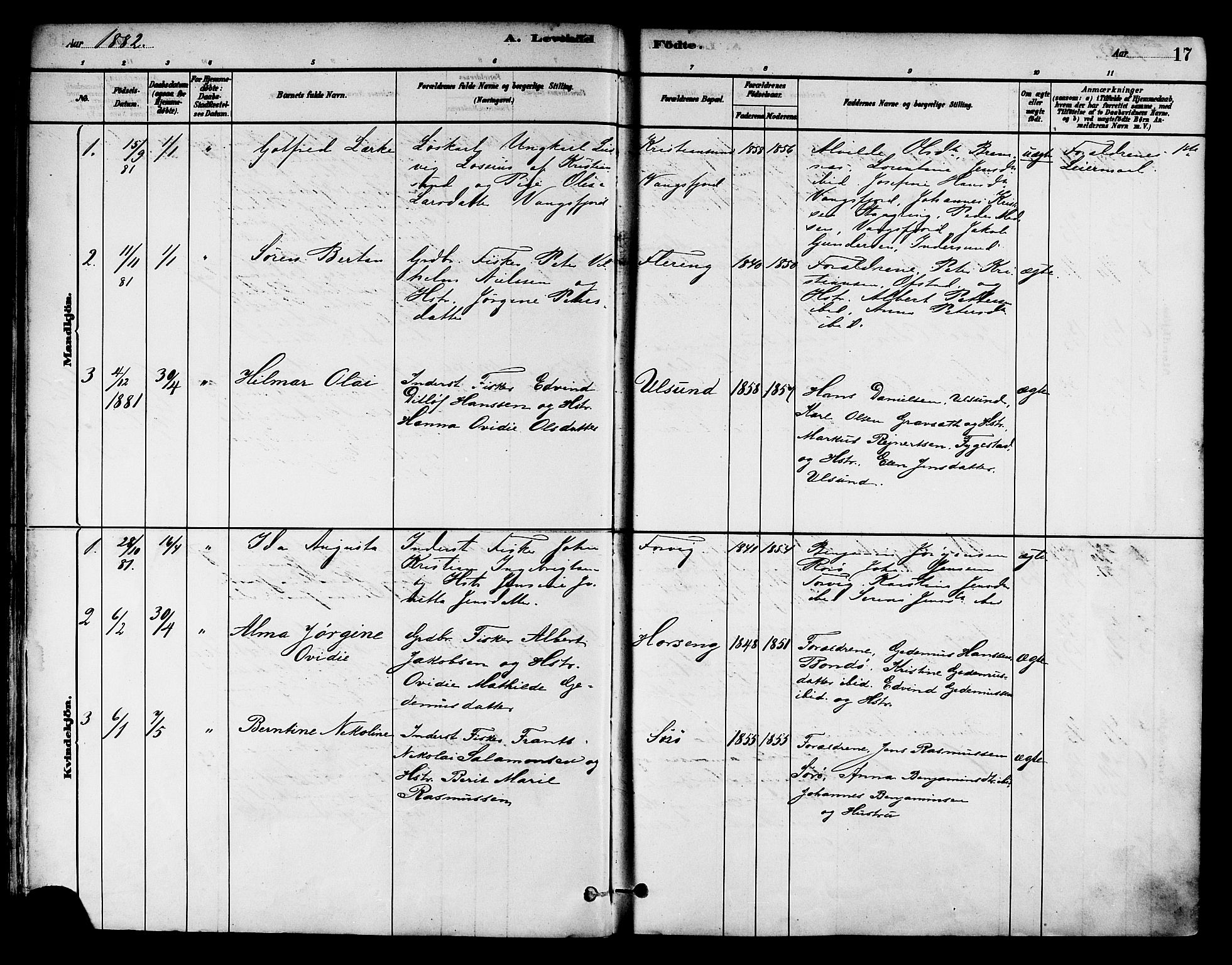 Ministerialprotokoller, klokkerbøker og fødselsregistre - Nord-Trøndelag, SAT/A-1458/786/L0686: Parish register (official) no. 786A02, 1880-1887, p. 17
