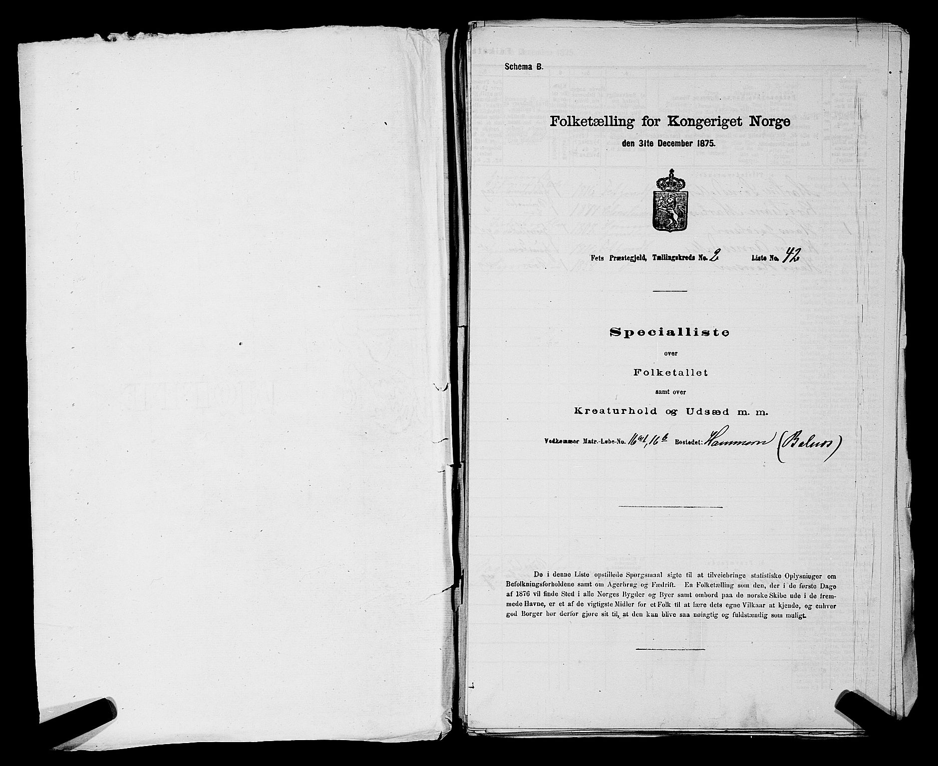 RA, 1875 census for 0227P Fet, 1875, p. 203