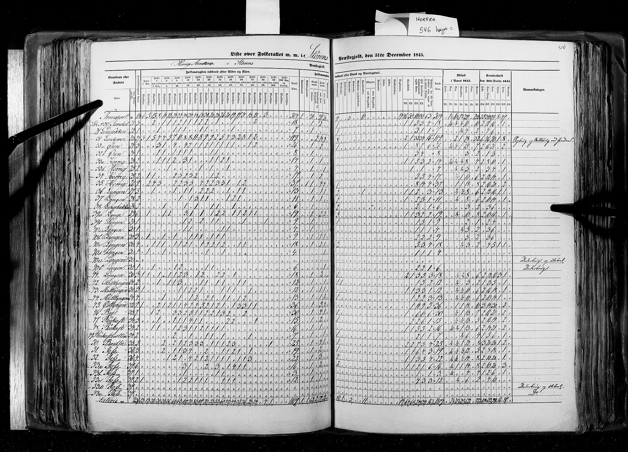 RA, Census 1845, vol. 8: Romsdal amt og Søndre Trondhjems amt, 1845, p. 306