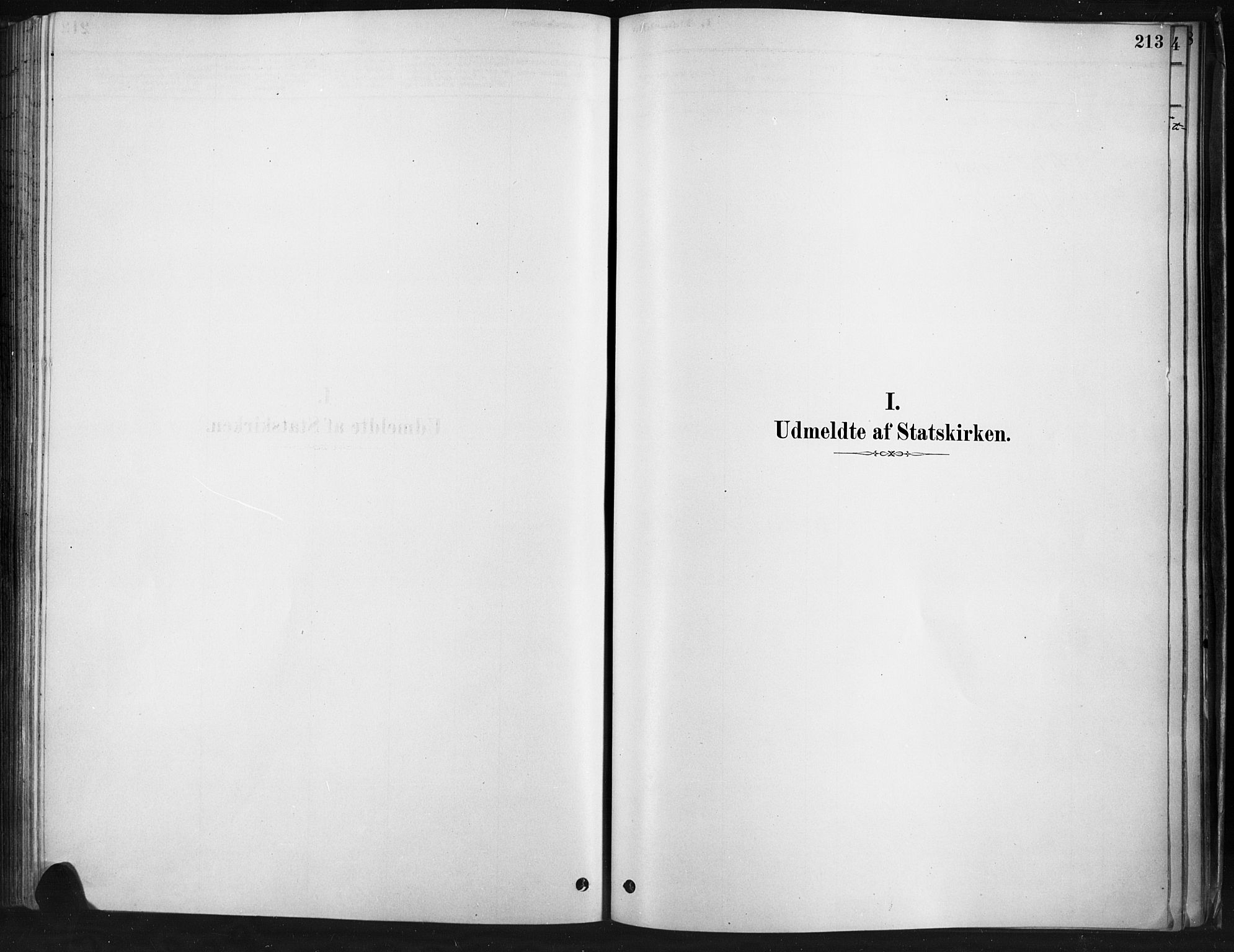 Ringebu prestekontor, SAH/PREST-082/H/Ha/Haa/L0009: Parish register (official) no. 9, 1878-1898, p. 213