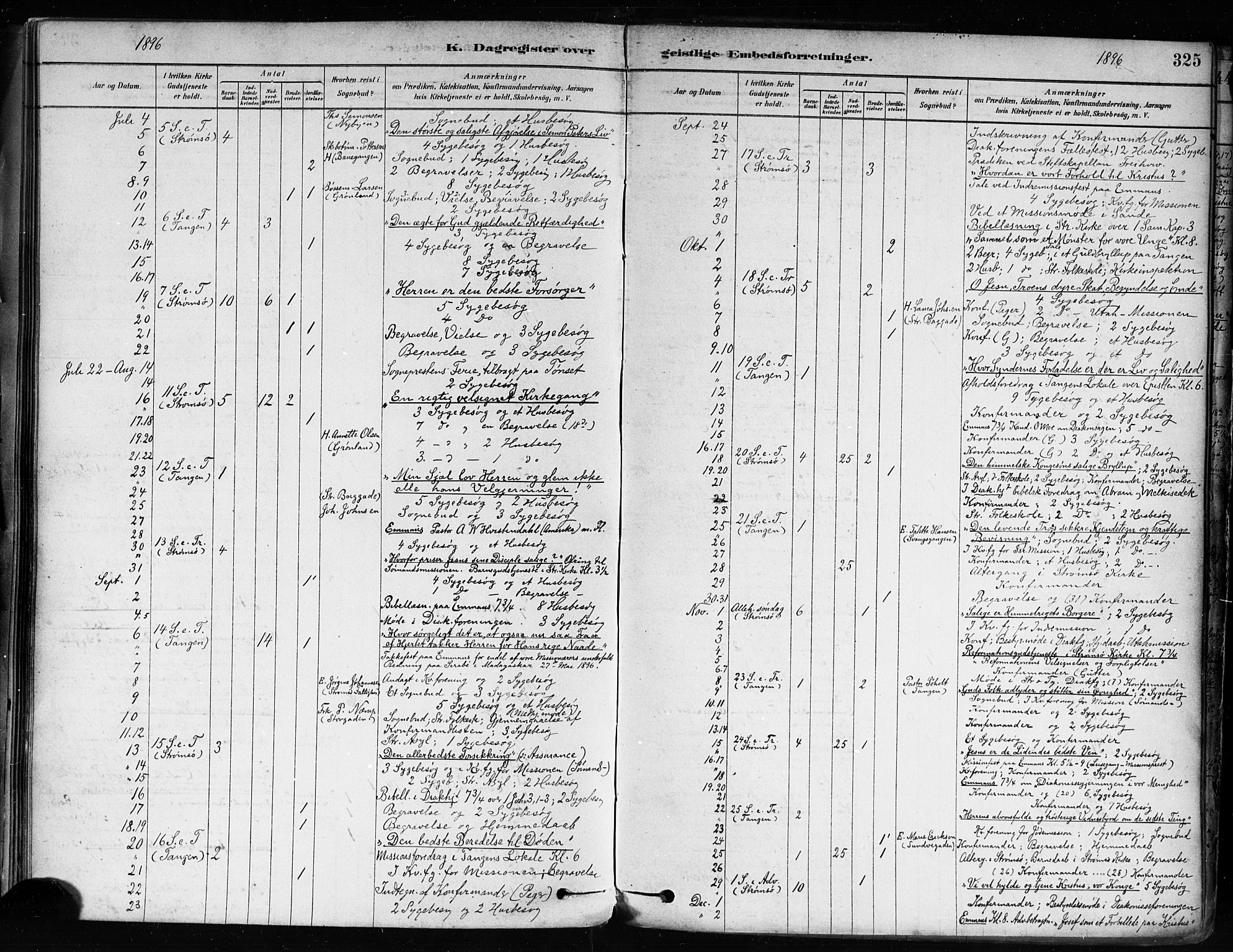 Strømsø kirkebøker, AV/SAKO-A-246/F/Fa/L0022: Parish register (official) no. I 22, 1879-1899, p. 325